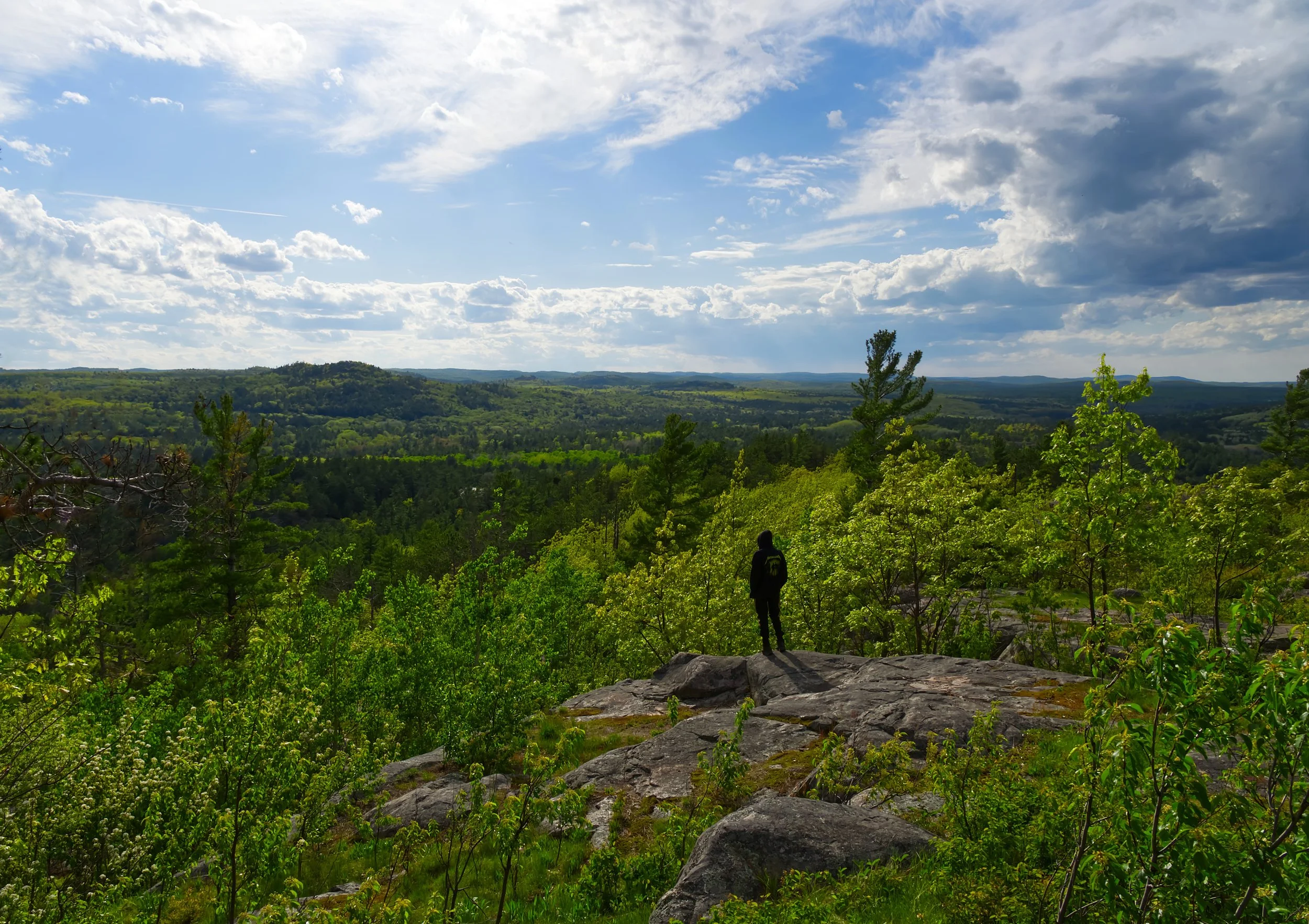 Person standing on a rocky outcrop overlooking a vast green landscape with trees, rolling hills, and a partly cloudy sky.