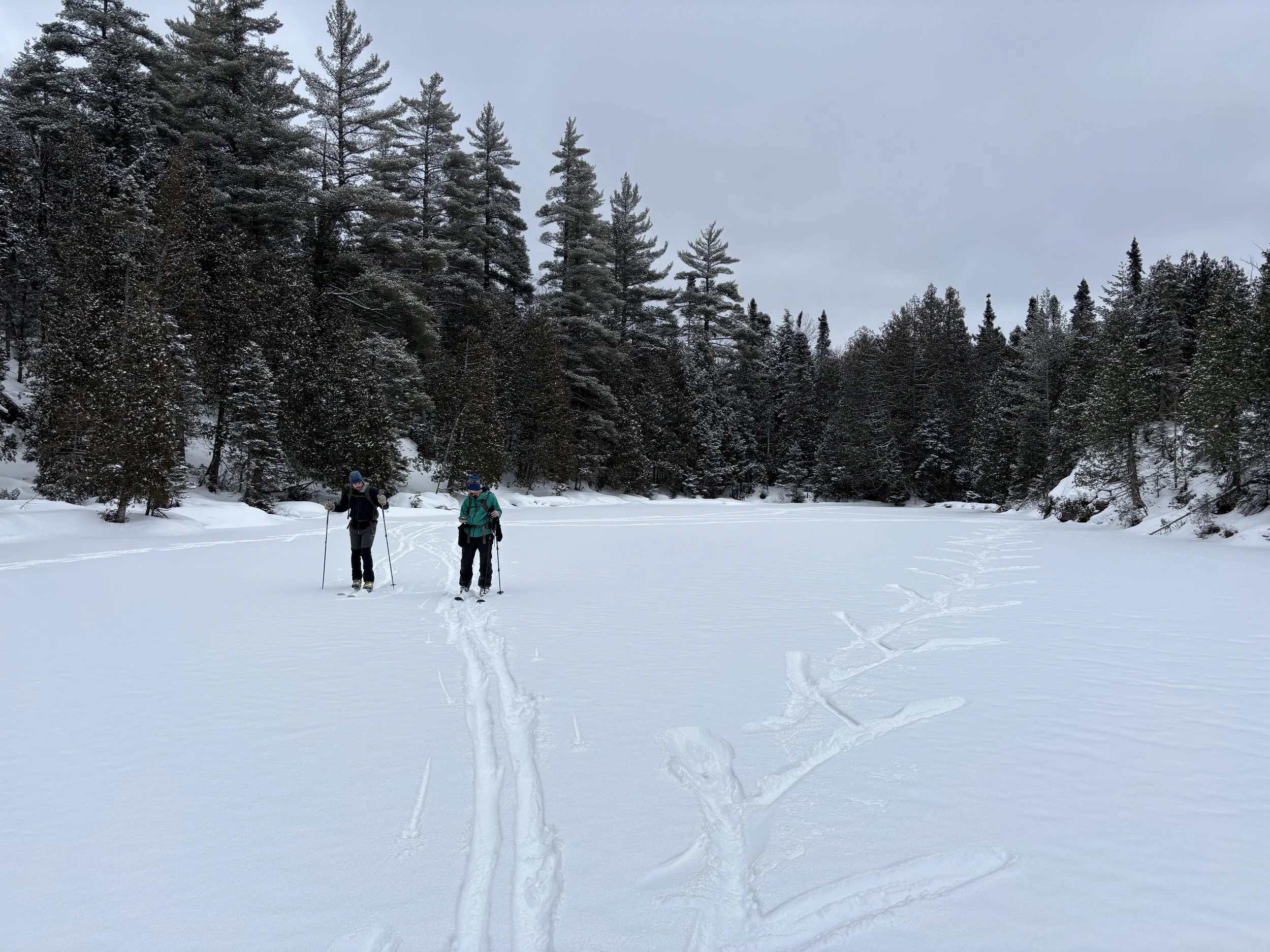 Two people cross-country skiing on a snow-covered lake surrounded by pine trees in winter.