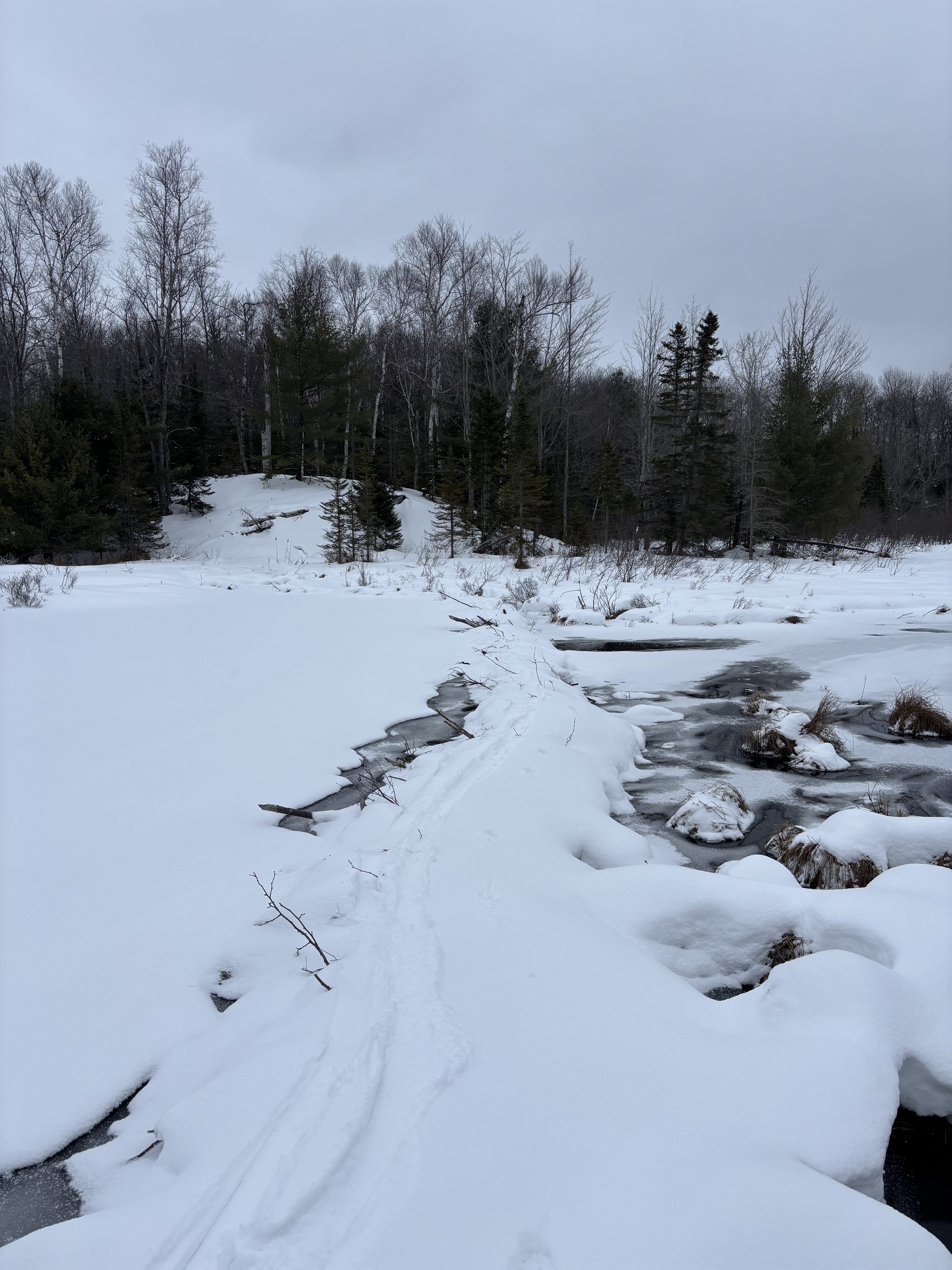 Snow-covered landscape with a small creek, leafless trees, and an overcast sky.