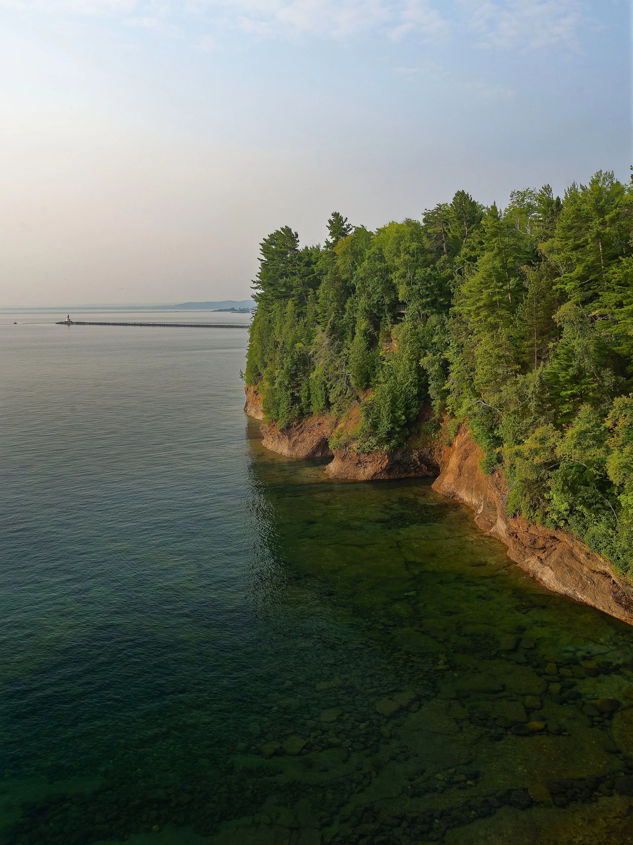 A scenic view of a rocky coastal shoreline with dense green trees on the cliffs and calm water below.