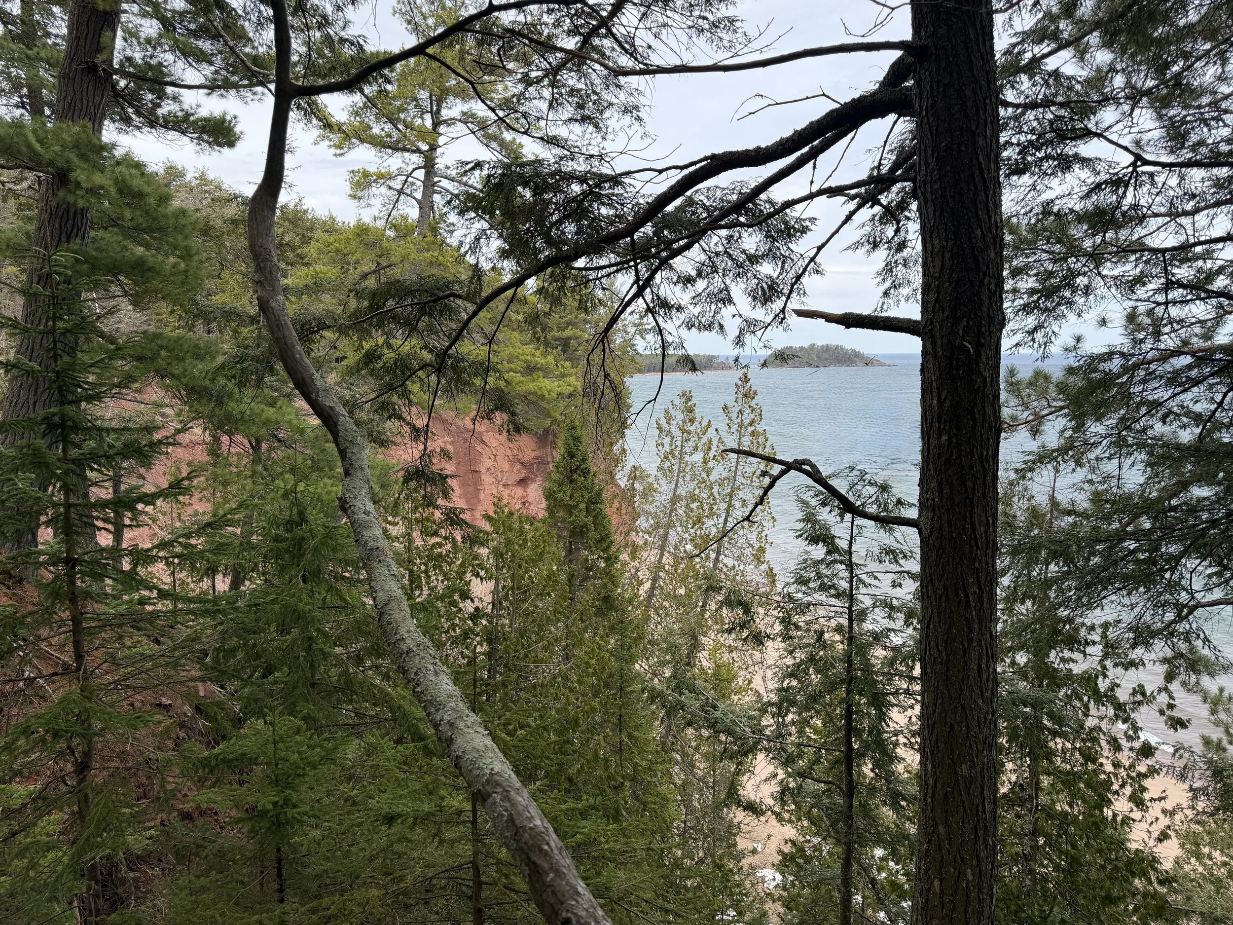 Tall pine trees with green needle leaves overlooking Lake Superior through the branches, with a red rocky cliff in the background and Little Presque Isle in the distance.