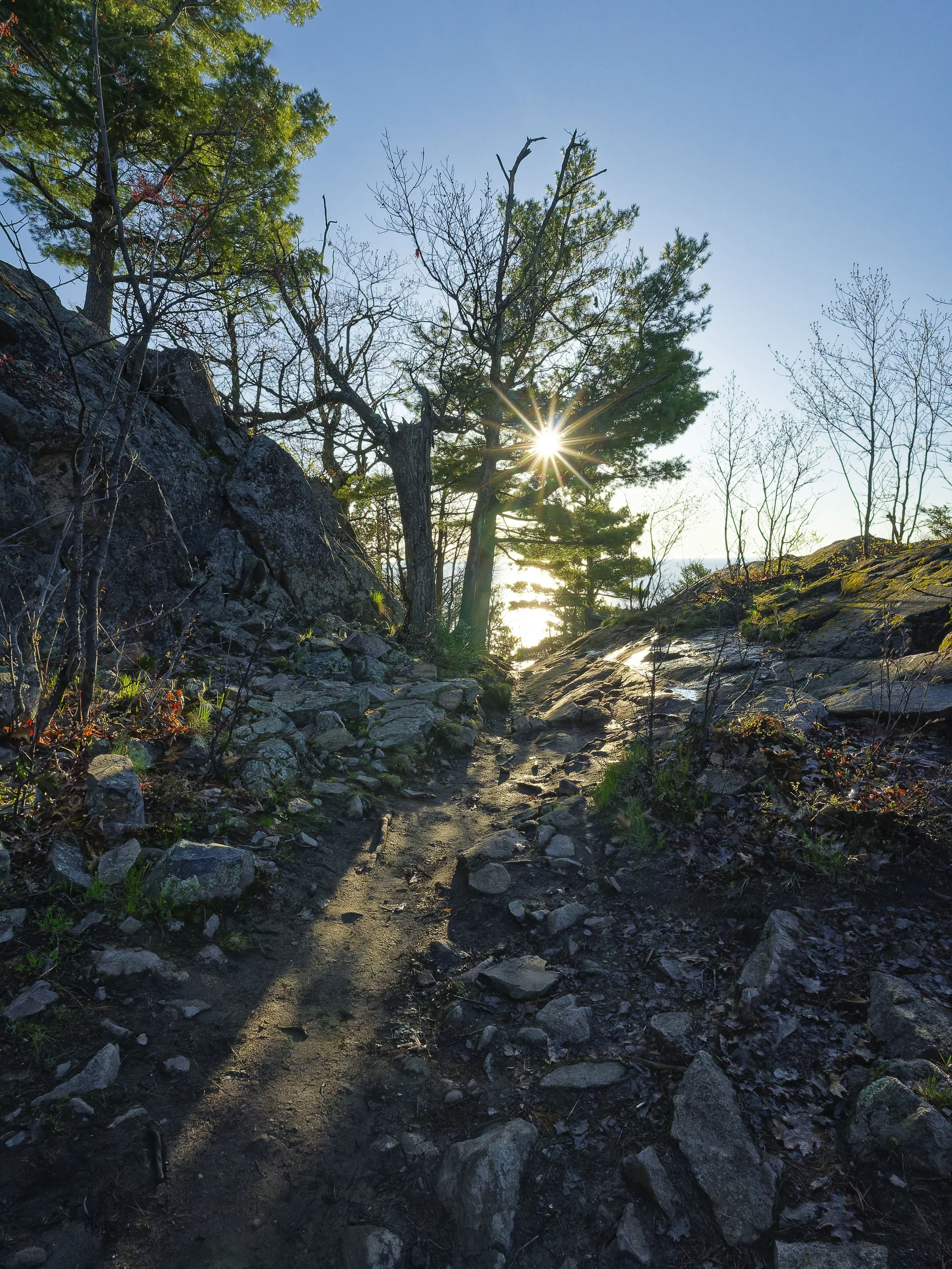 A dirt trail through a rocky forest, with trees on both sides and sunlight shining through the branches.