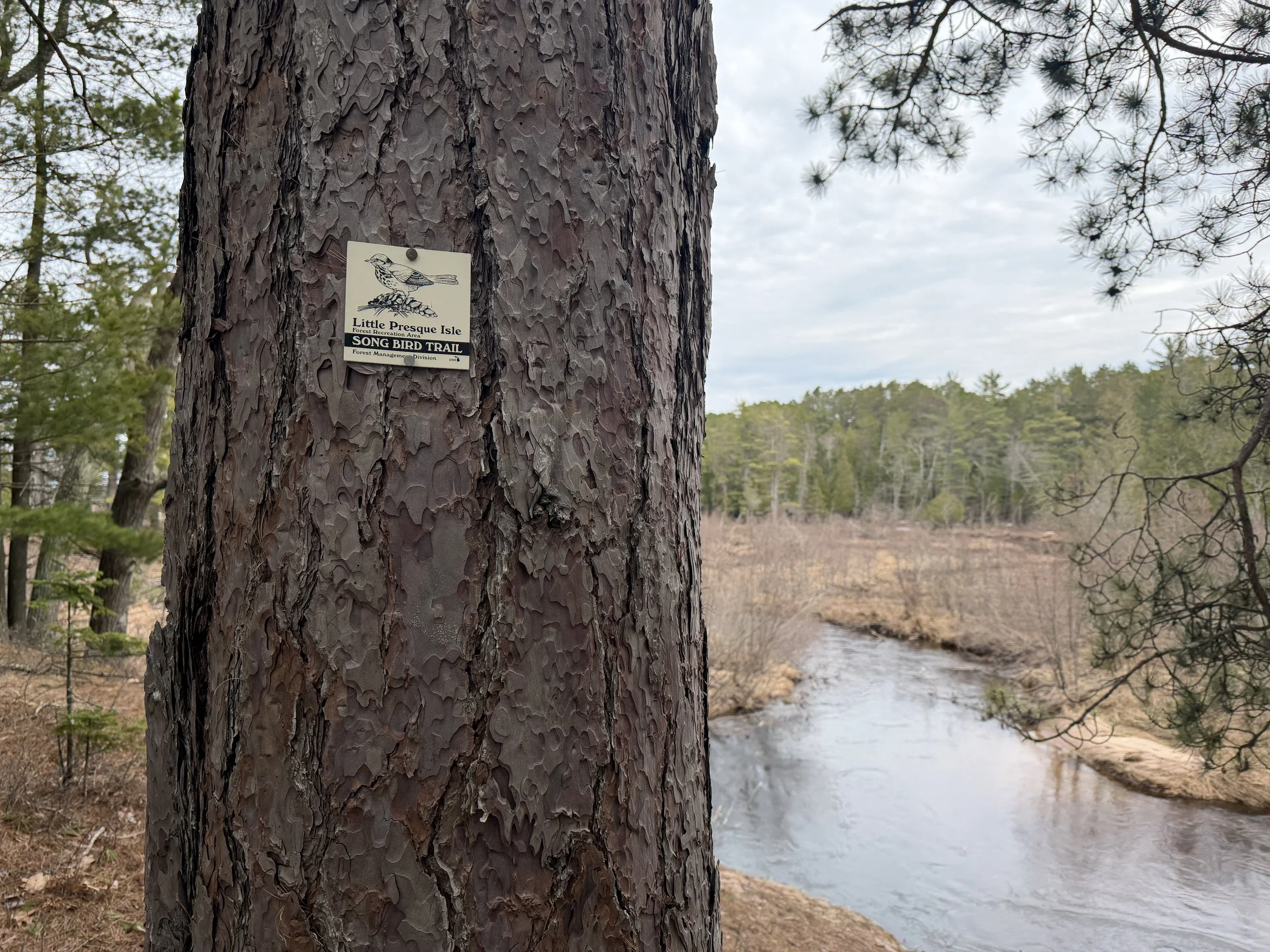 Song bird trail with Harlow Creek.
