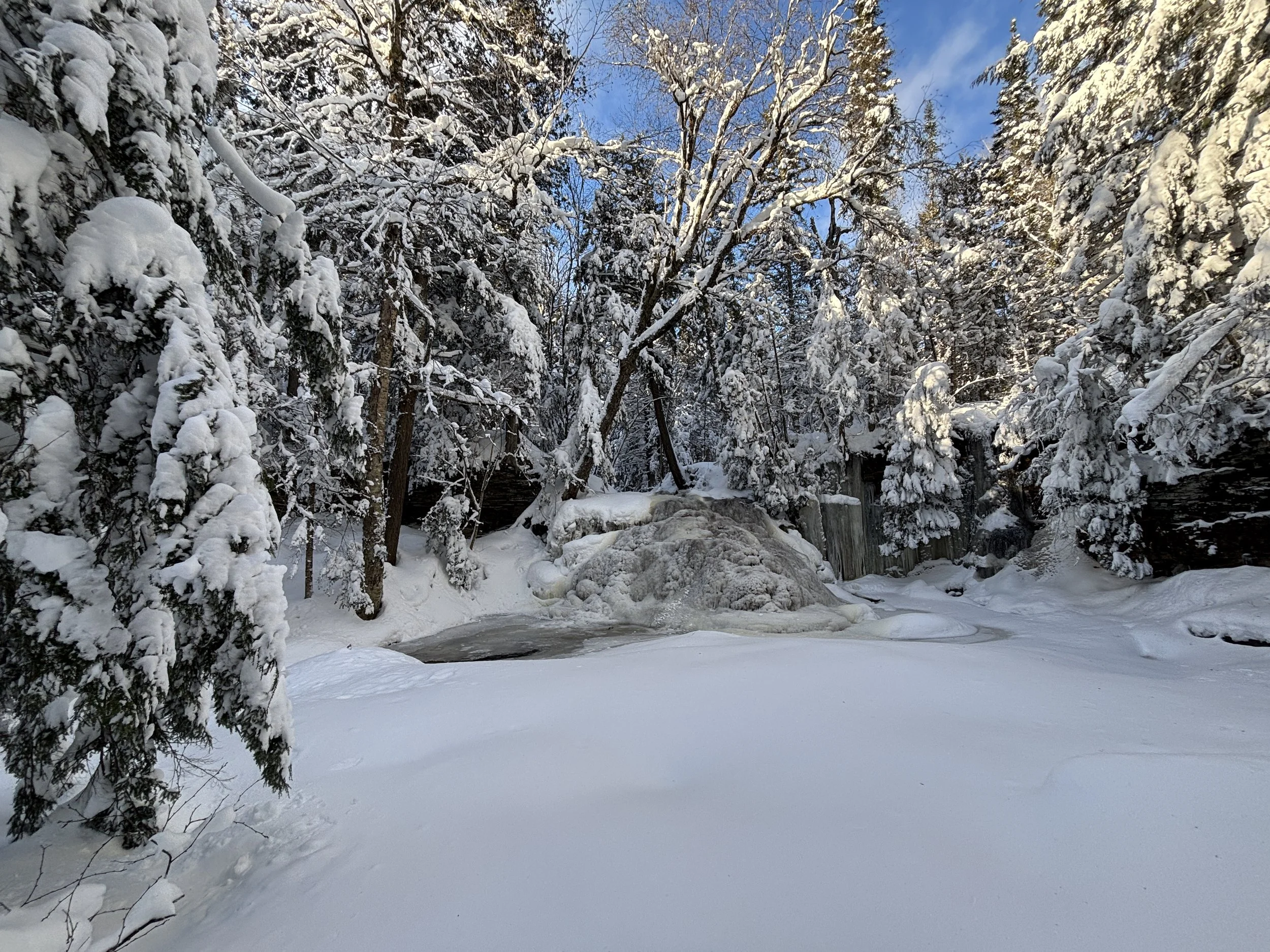 Snow-covered forest scene with trees, a frozen creek, and a rock formation, under a partly cloudy sky.