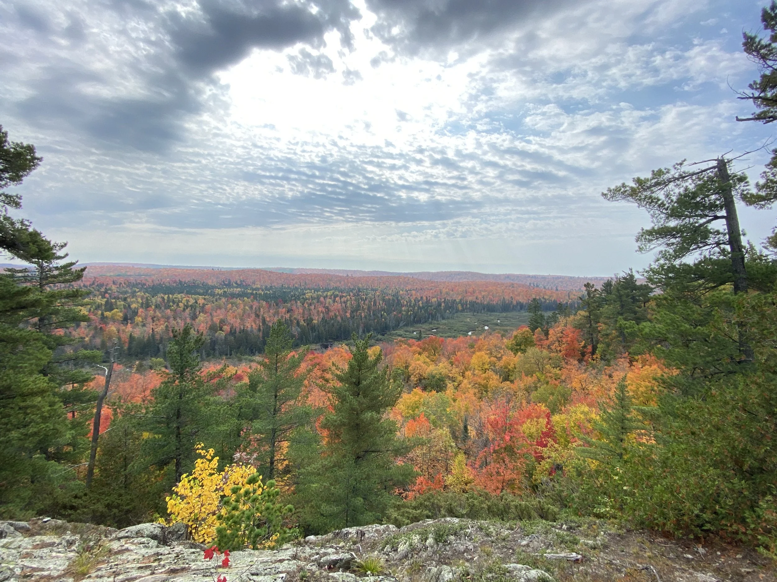 Scenic view of a forested landscape in autumn with colorful fall foliage, view of distant hills, and partly cloudy sky.
