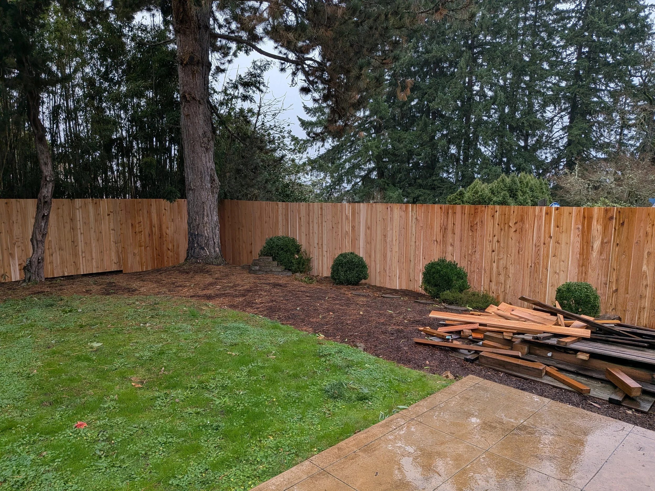 Backyard with a new wooden fence, green grass, small bushes, and some stacked wooden planks on the ground.