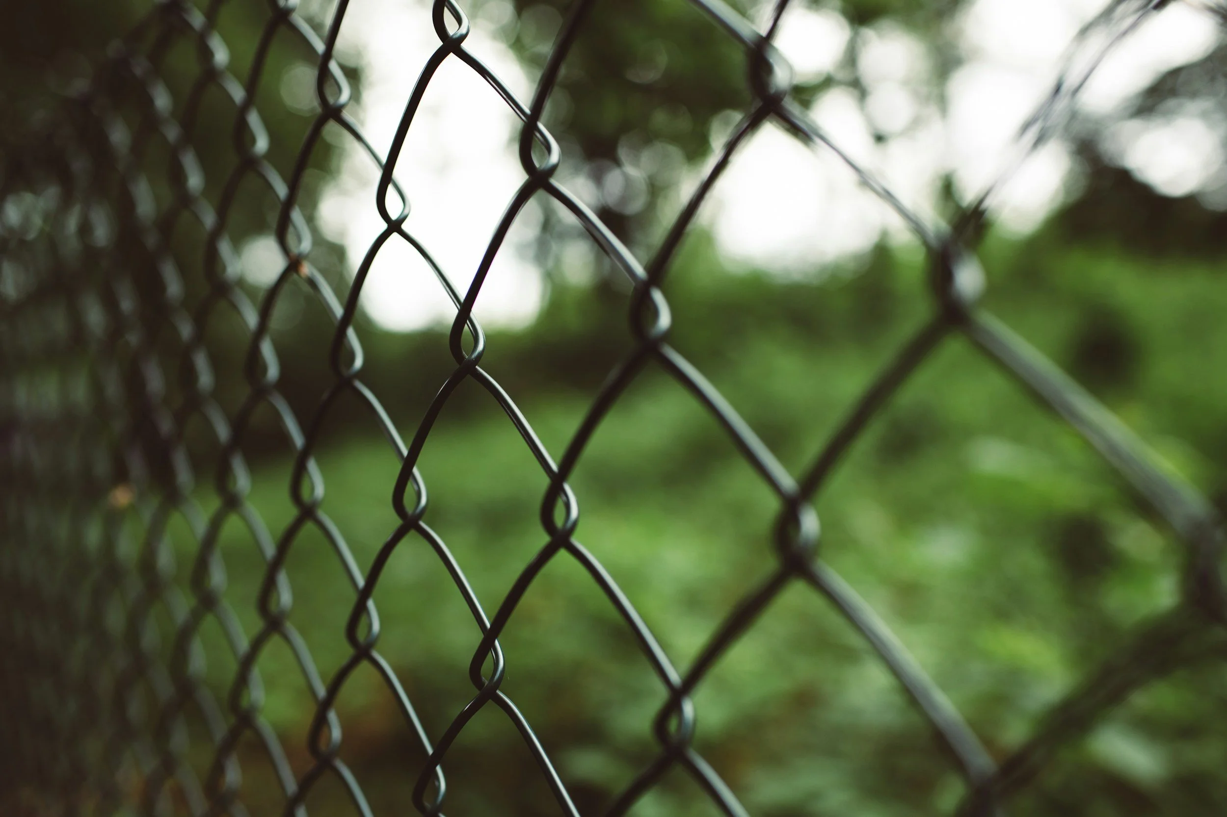 Close-up of a chain-link fence with a blurred green background.