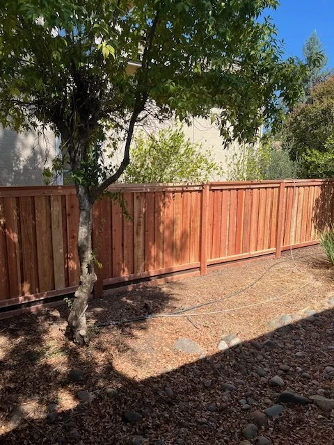 Backyard with a tree, a wooden fence, and a dirt ground with some rocks.