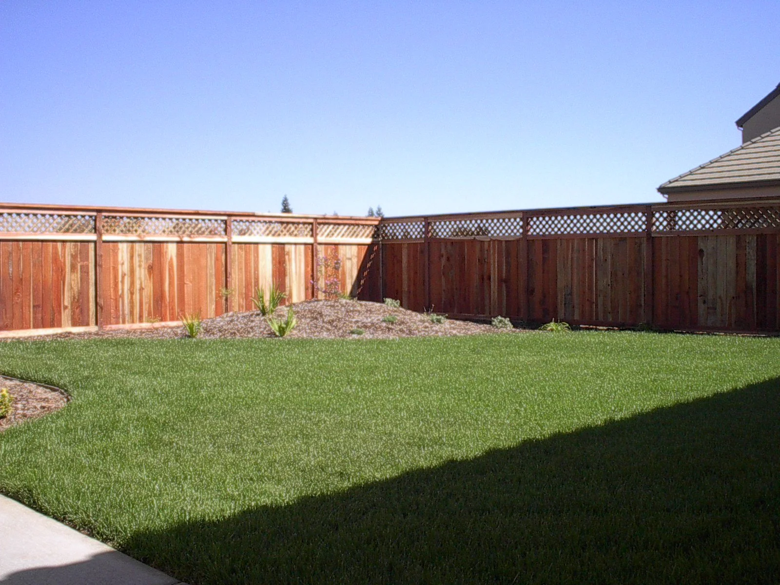 Backyard with a wooden fence, green grass, small plants, and a clear blue sky.