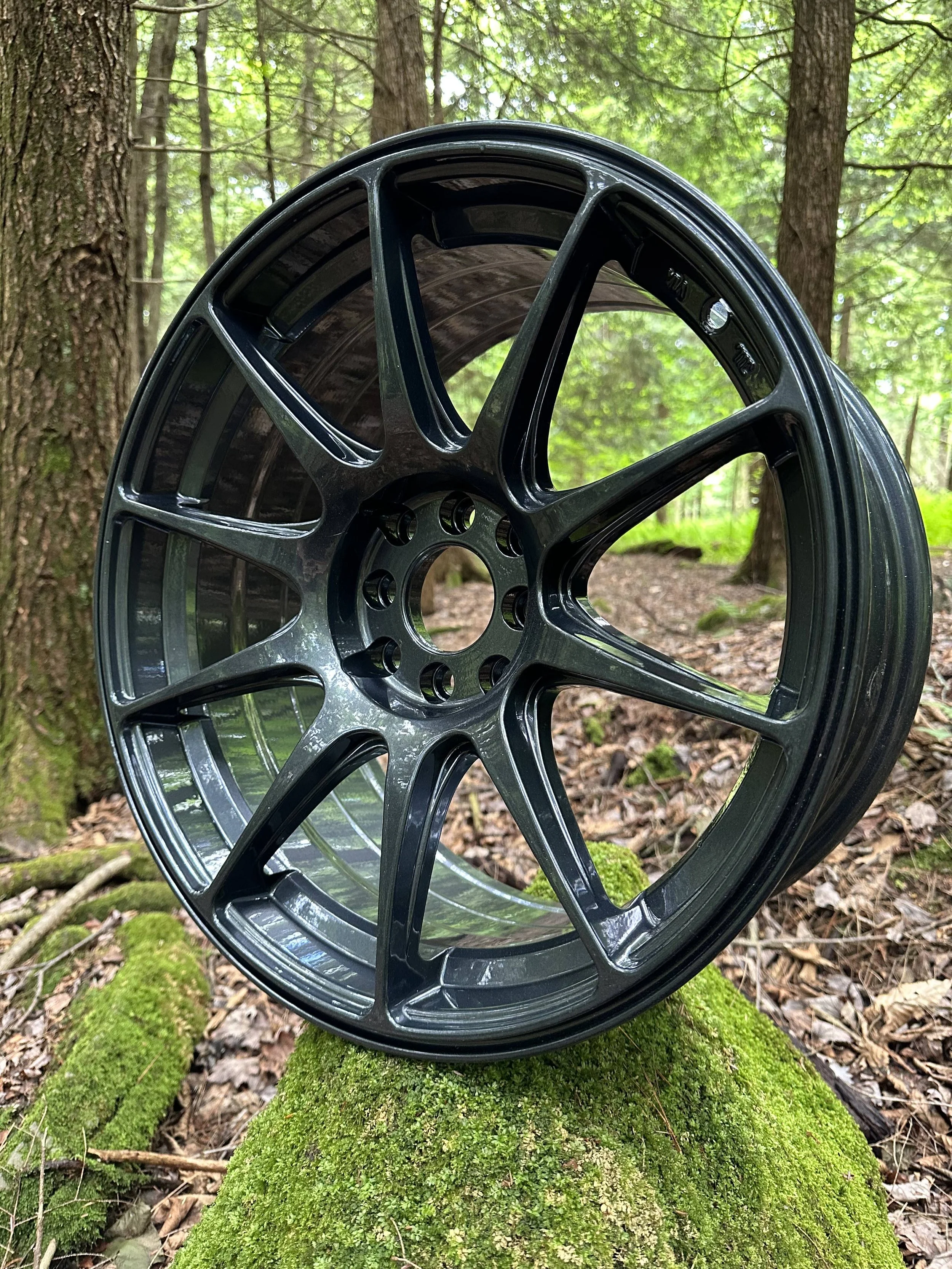 A black alloy wheel rim leaning against a moss-covered log in a forest setting with trees and green foliage in the background.