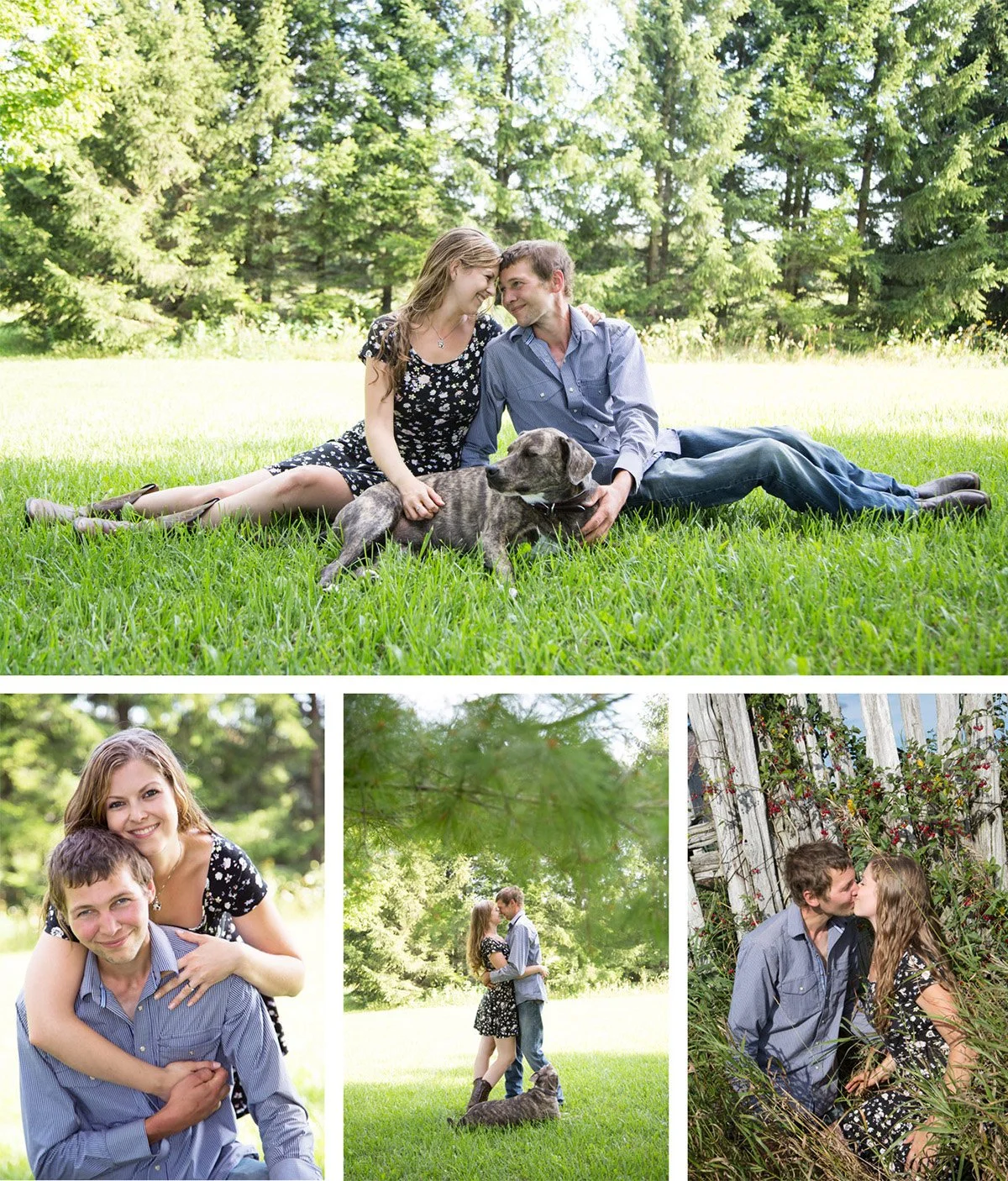 A collage of four photos featuring a young couple and their dog outdoors in a park or garden setting. The main photo shows them lying on the grass, smiling at each other and petting the dog. One smaller photo shows the woman hugging the man from behi