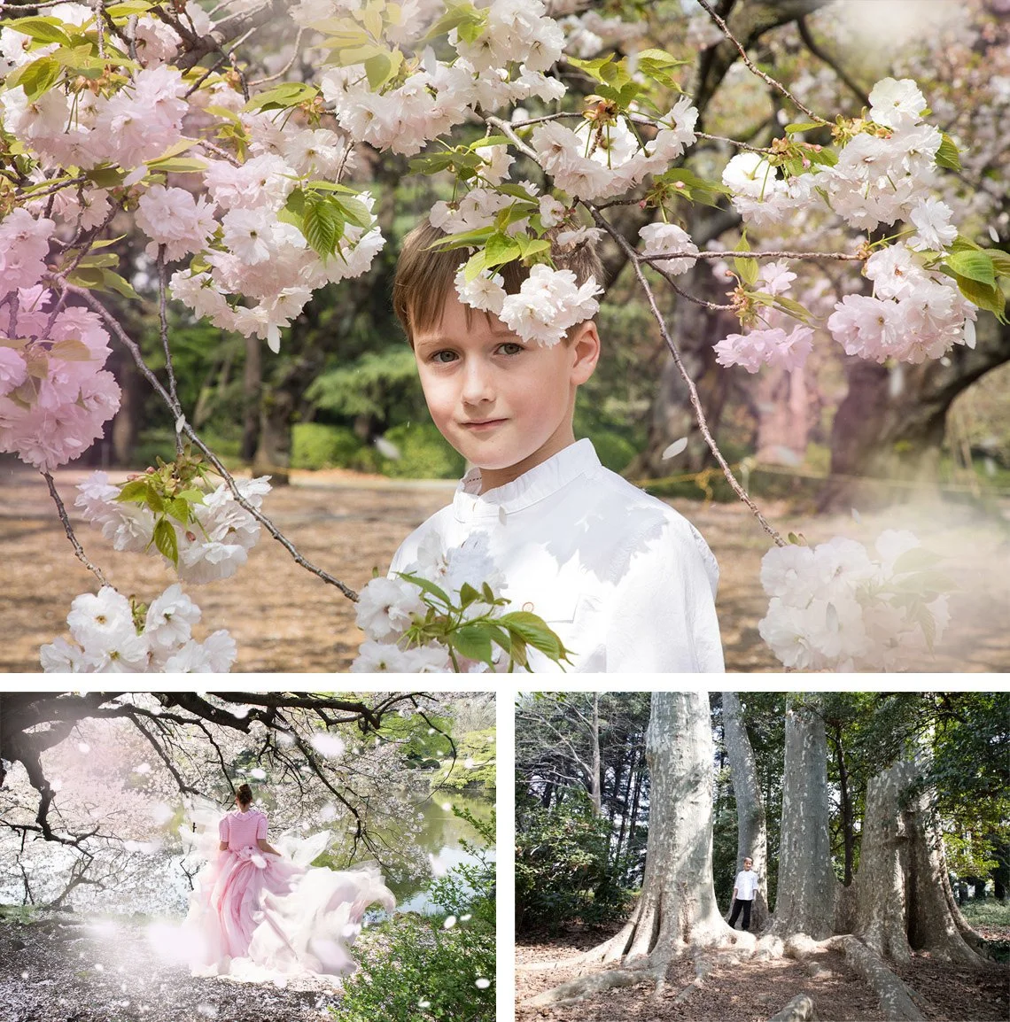 A collage of three photos: The top photo shows a young boy with light brown hair and blue eyes standing among blooming cherry blossom trees, wearing a white shirt. The bottom left photo captures a woman in a flowing pink dress walking near a pond und