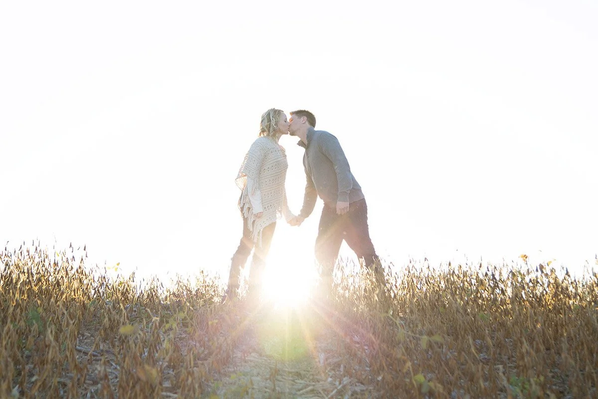 A couple holding hands and kissing in a wheat field at sunset or sunrise.