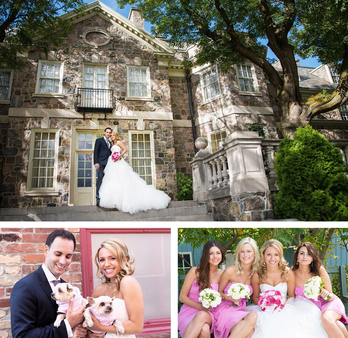 A bride and groom standing outside a stone house, with the bride in a white wedding dress holding a bouquet of pink flowers, and the groom in a dark suit. Two women in pink dresses sitting outdoors with bouquets, and a couple holding puppies, colorfu