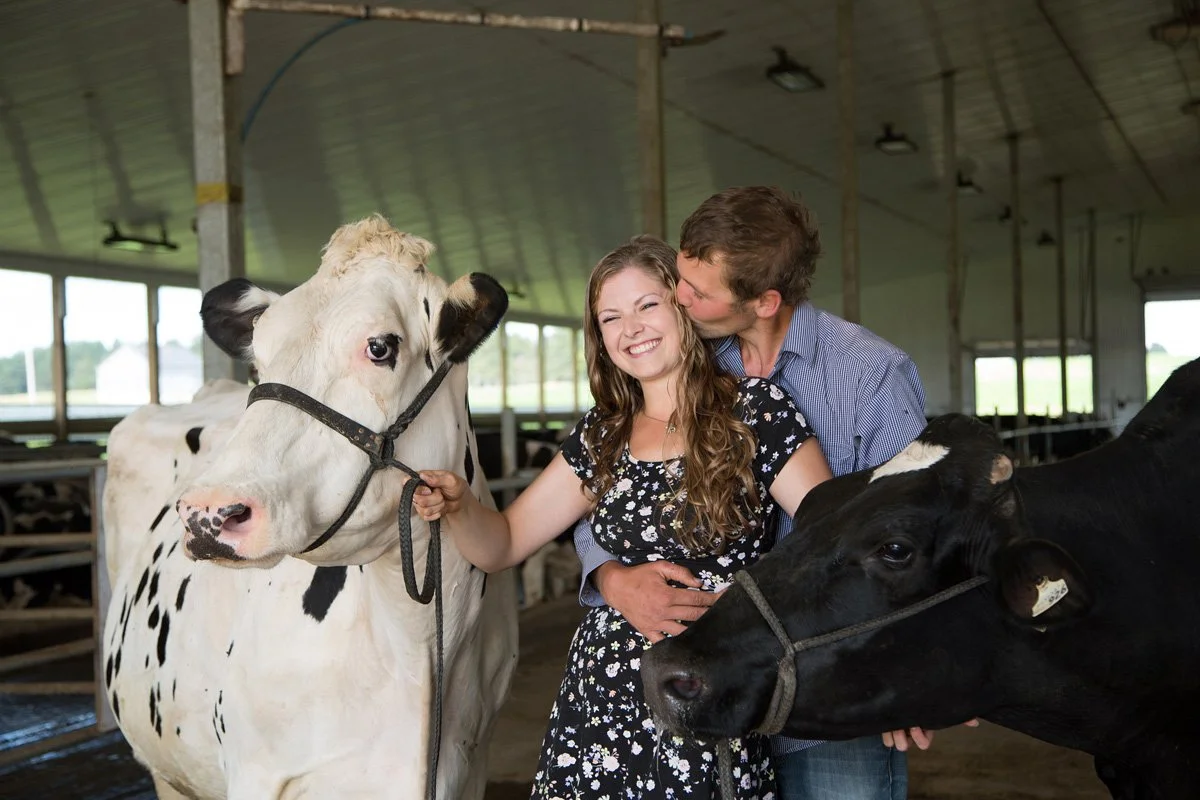 A smiling woman holding a cow's halter and a man kissing her on the cheek, with another cow standing next to them inside a barn.