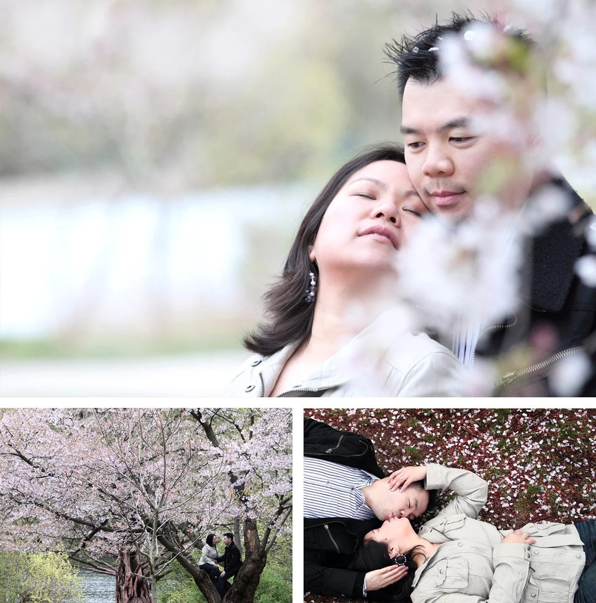 A couple lying together under cherry blossoms in a park, with the woman resting her head on the man's chest in the top image. The bottom left shows a couple sitting in a tree with pink blossoms, and the bottom right shows the same couple lying on the