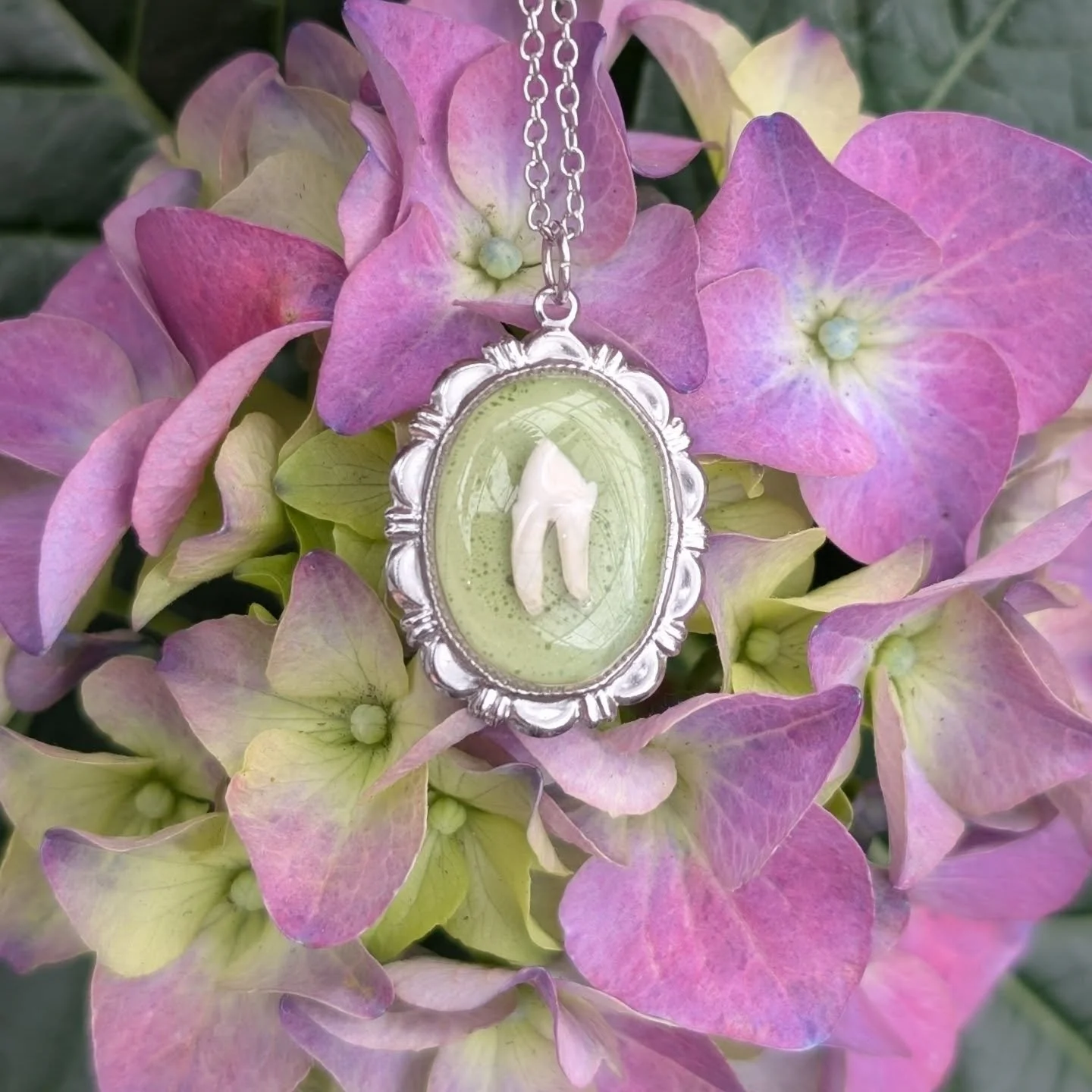 Visited Bloomland in Oz at the Royal Botanical Gardens with my mom and sister today. Absolutely beautiful! 
(Of course I took the opportunity to take some product pictures. My mom was a great assistant too!)

Opossum tooth on a speckled green backgro