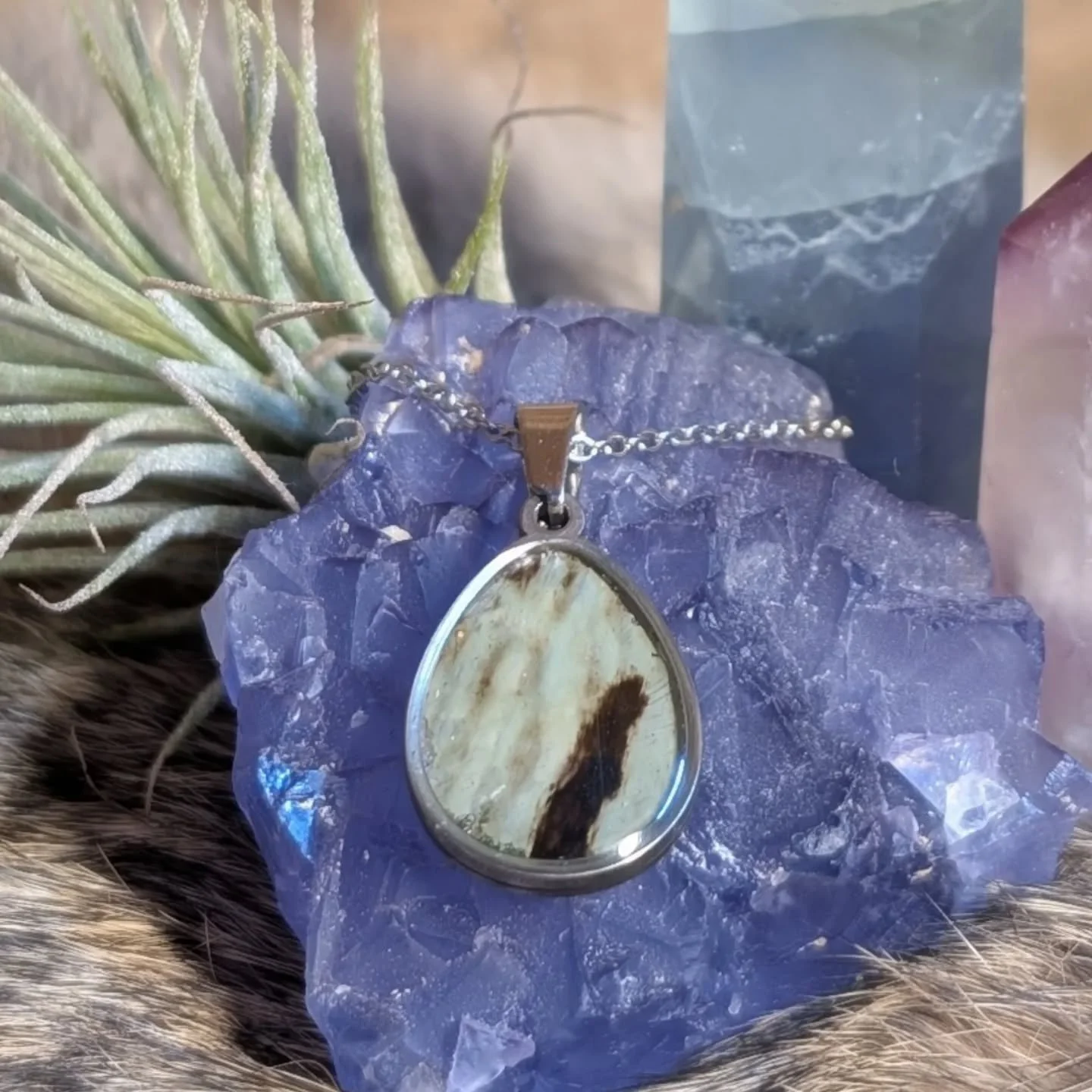 Turtle Shell Pendant, each one is unique and one of a kind!

The shell is a shed scute from my pet Red Eared Slider named Princess. She will be turning 33 this spring! 

#princesstheturtle #turtleshell #ethicallysourced #petturtle #turtlejewelry