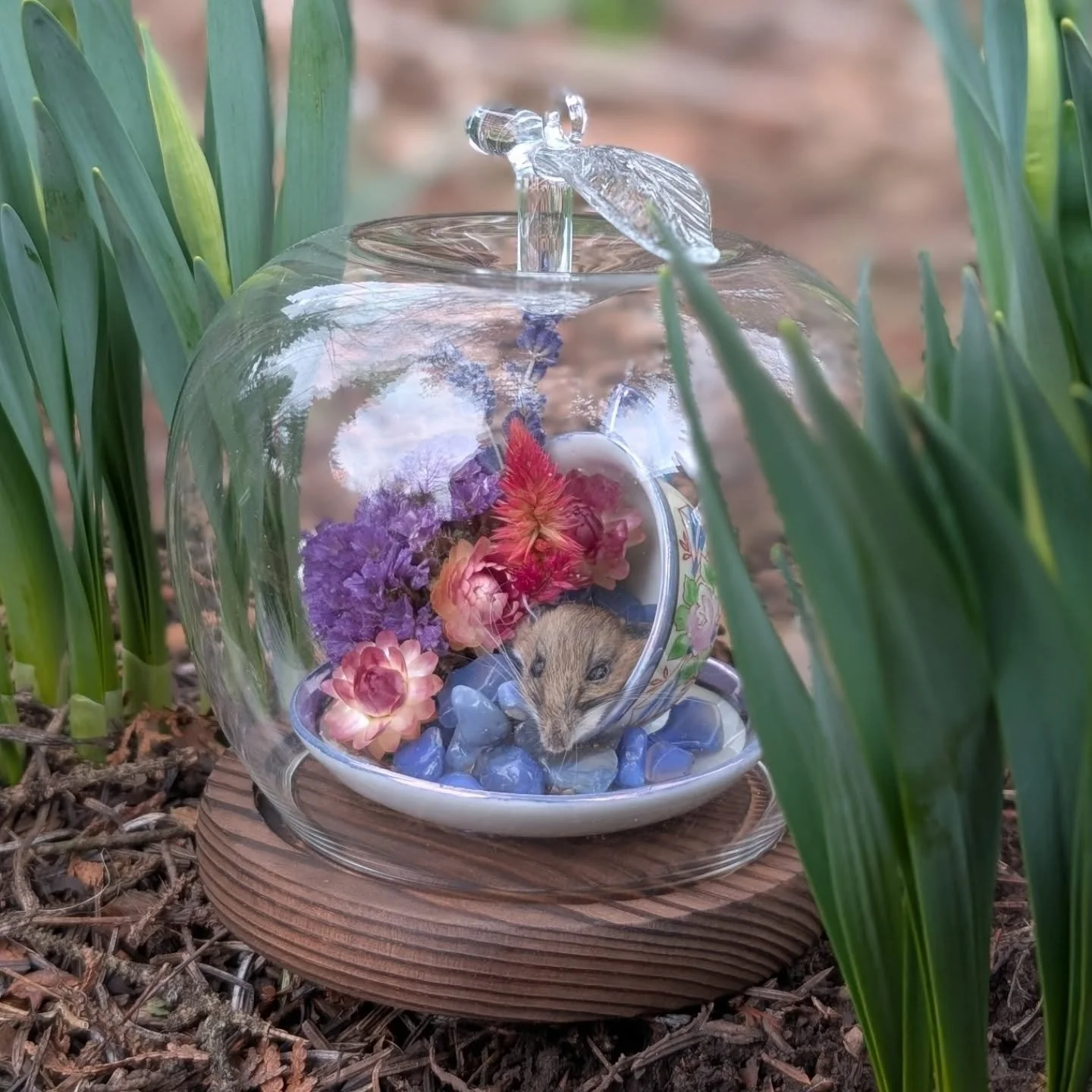 Little mummified mouse head, on a pile of blue agate, spilled from the over turned tea cup, inside a glass apple dome. 
.
.
.
#taxidermymouse #darkcottagecore #oddityart #itwasdeadwhenwemet #mummification