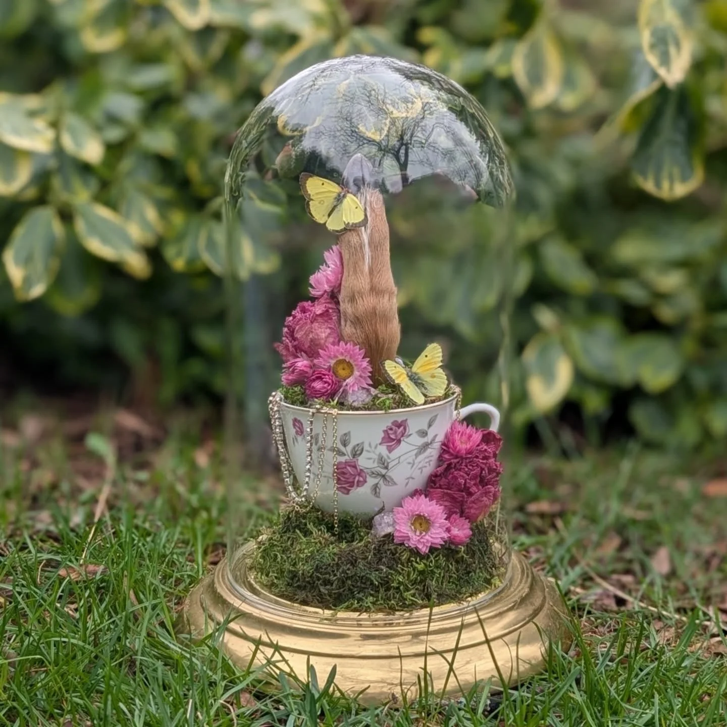 Faun leg from a poor baby I found on my way home from Thunderbay last year. 
Local clouded sulphur butterflies. 
Local farmed florals.
Vintage base and dome. 
Vintage tea cup. 

I can't change the tragic end of this creature, but I can give them a be