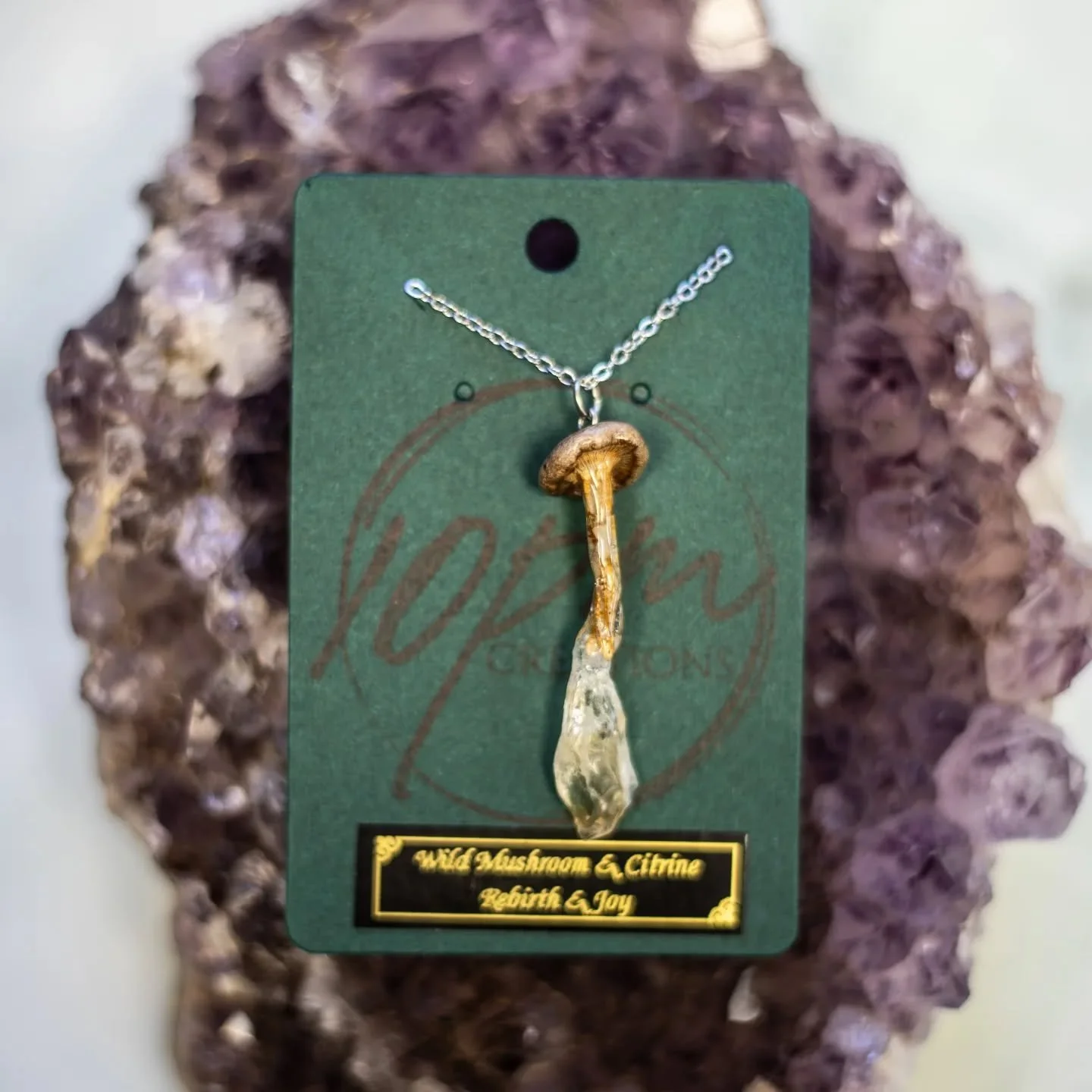 Mushrooms are just fun guys 🍄
Real wild mushroom necklaces!  These mushrooms were dehydrated and sealed in resin, then adorned with a crystal, hanging on a stainless steel chain.
Available at @thehiveart33
Photos by @lizjohnstonphotography