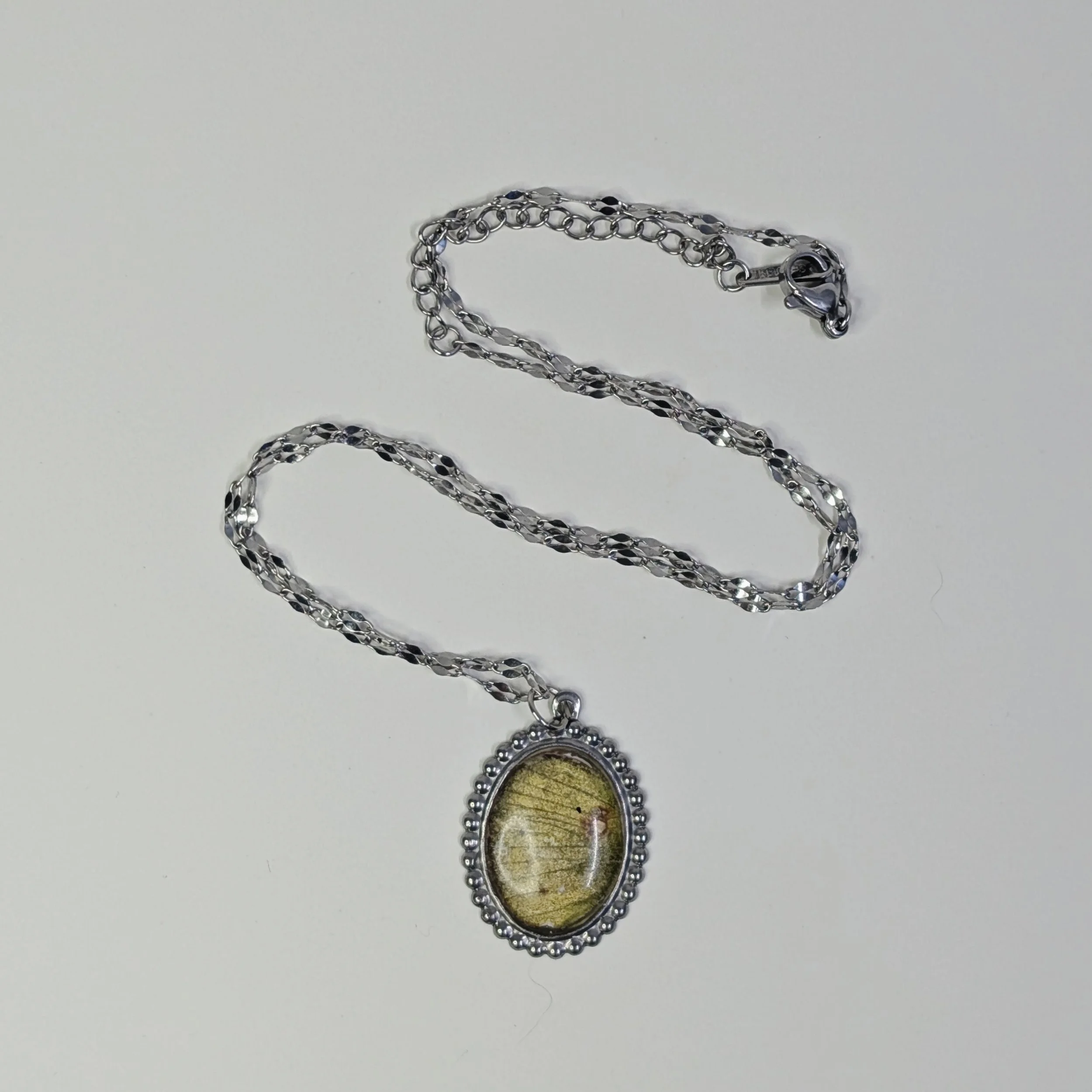 Clouded Sulphur Butterfly Oval Pendant Necklace