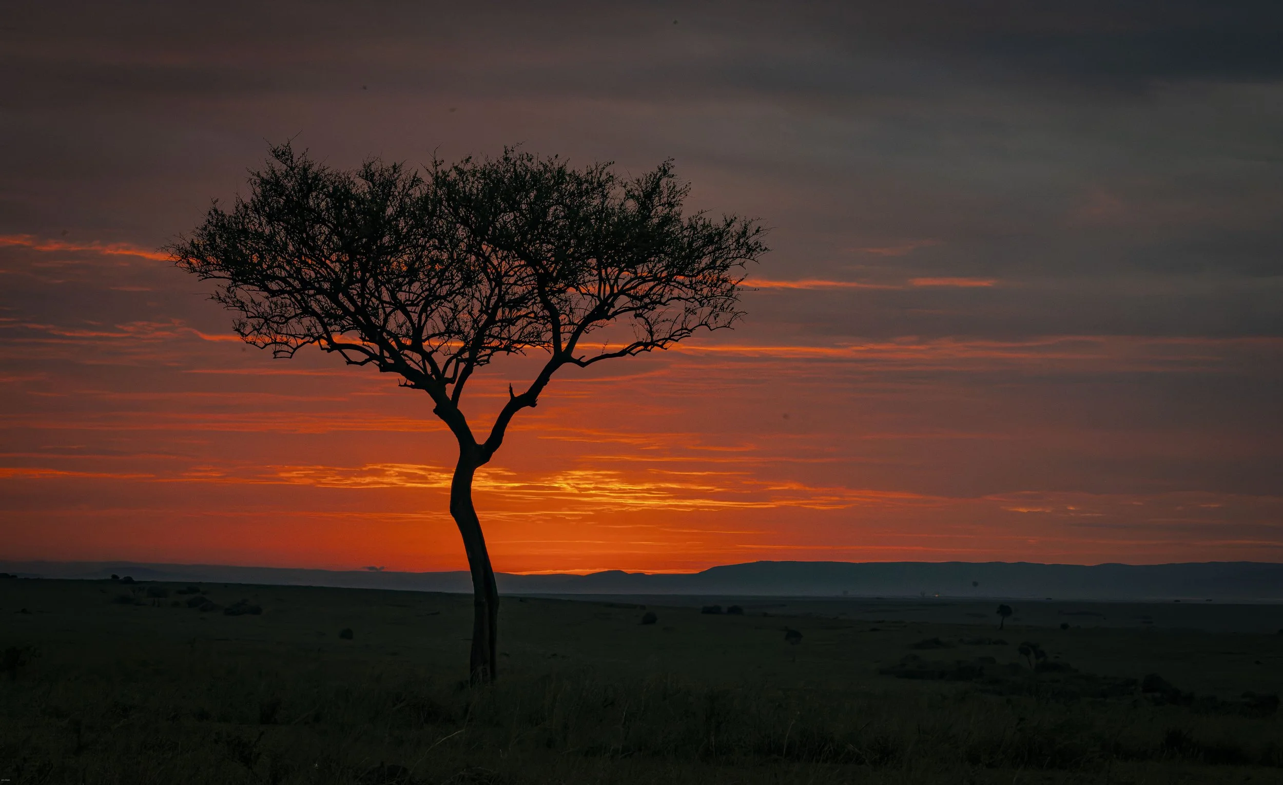 Mara sunset