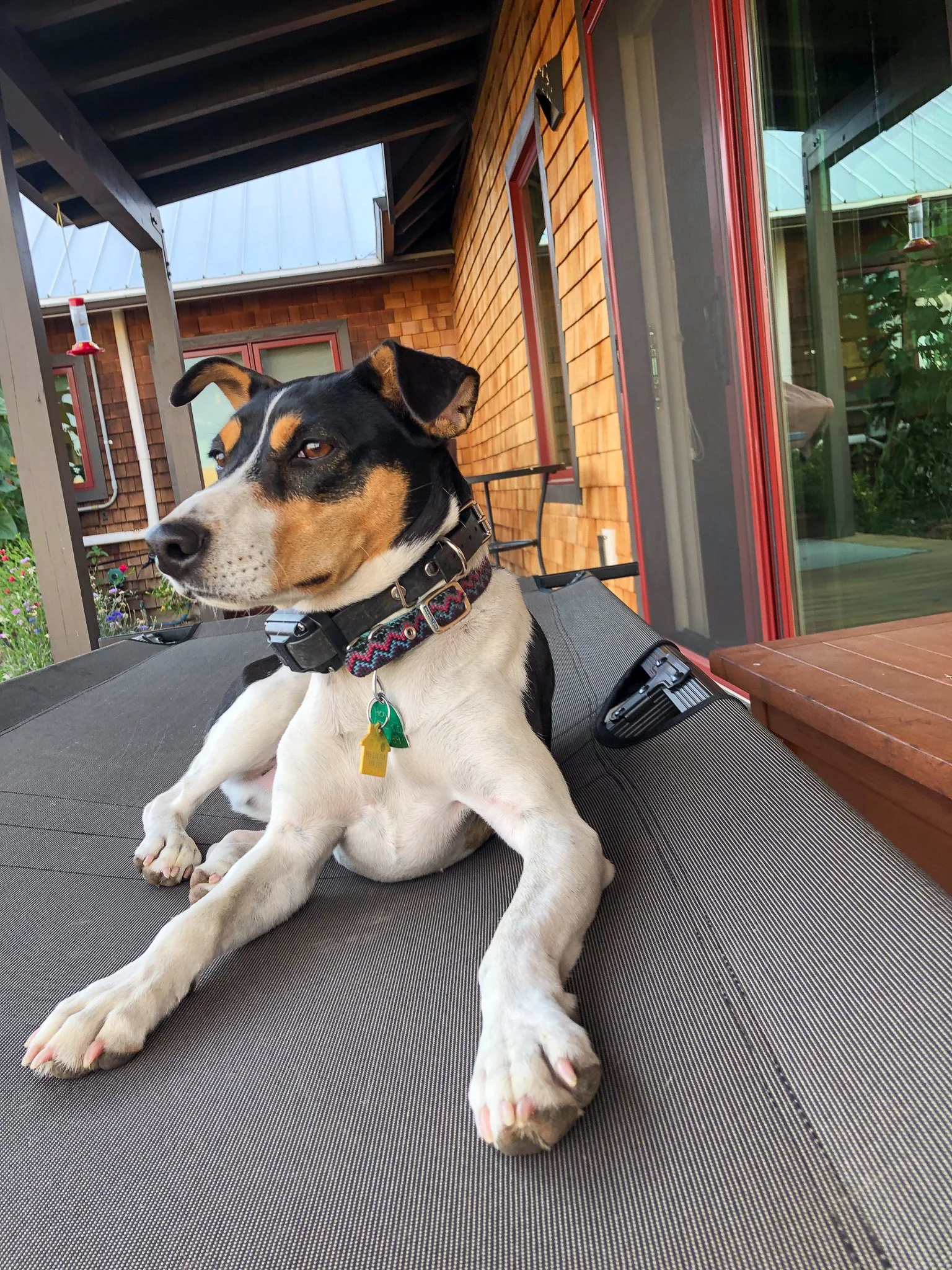 Henry Master of the Porch