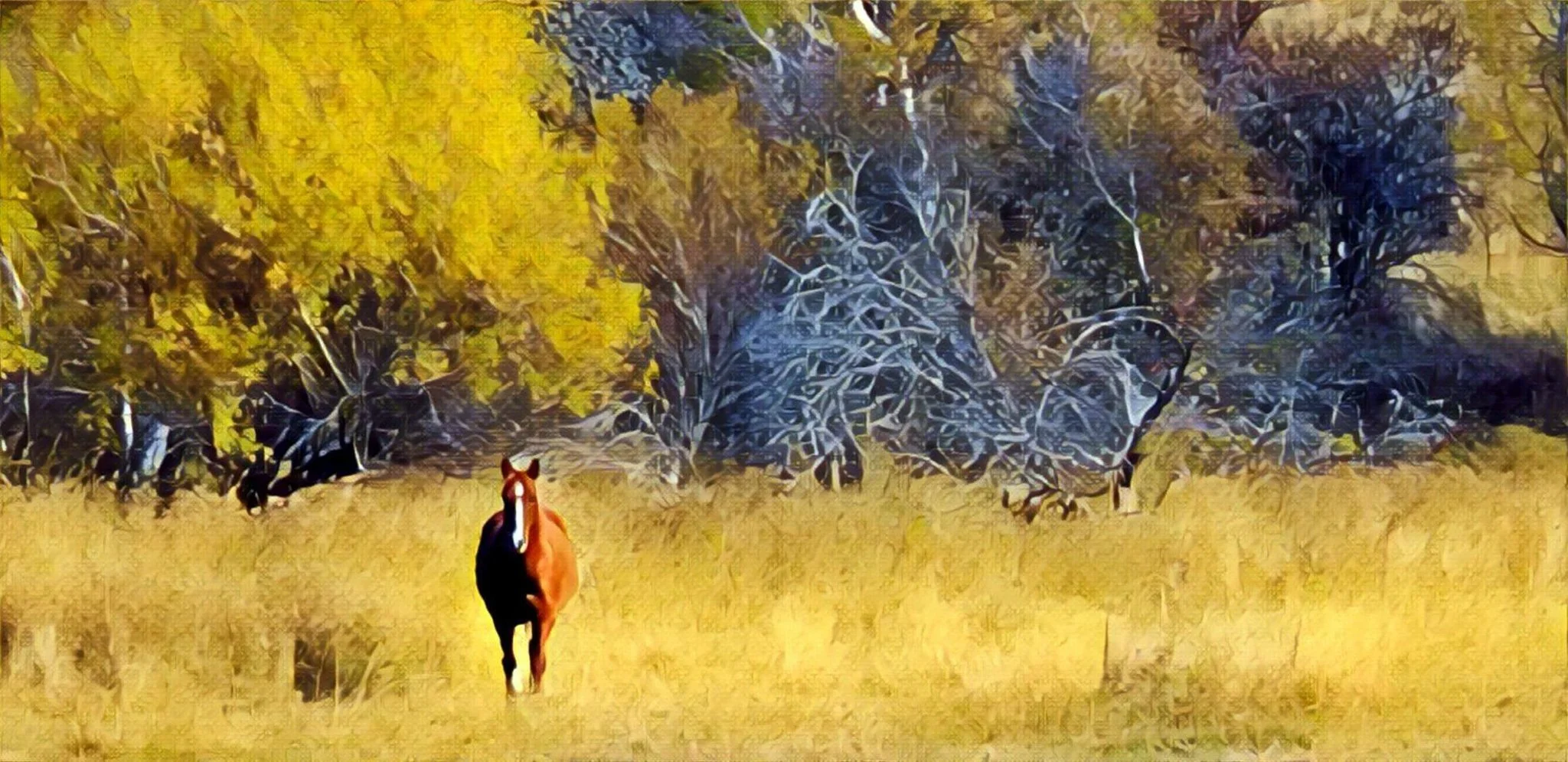 Horse in Fall