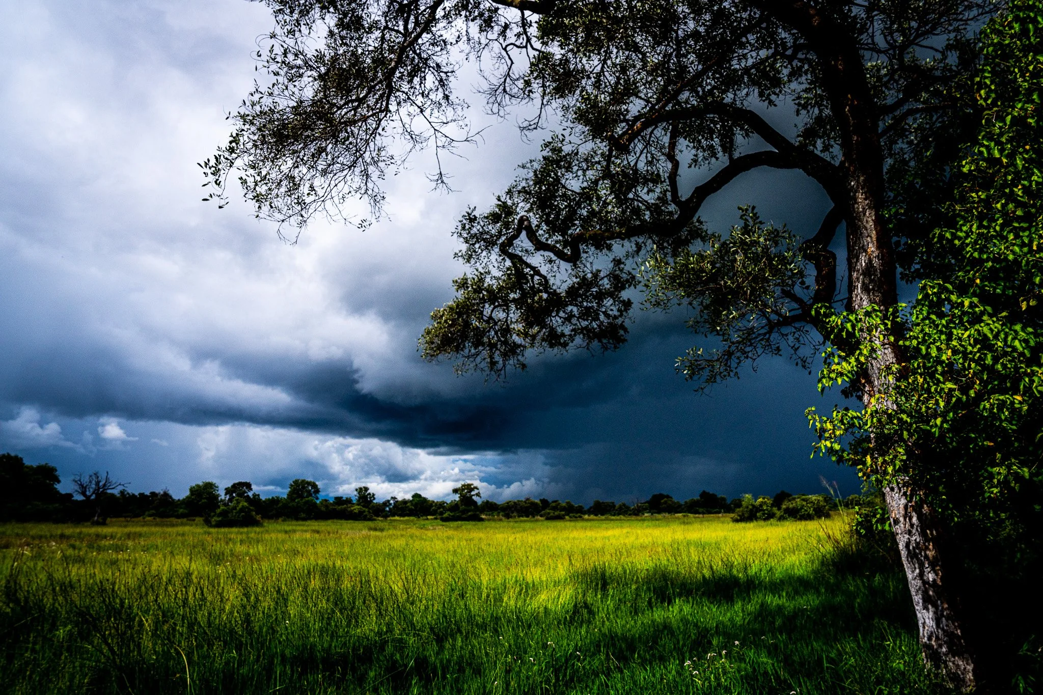 Okavango Delta, Botswana