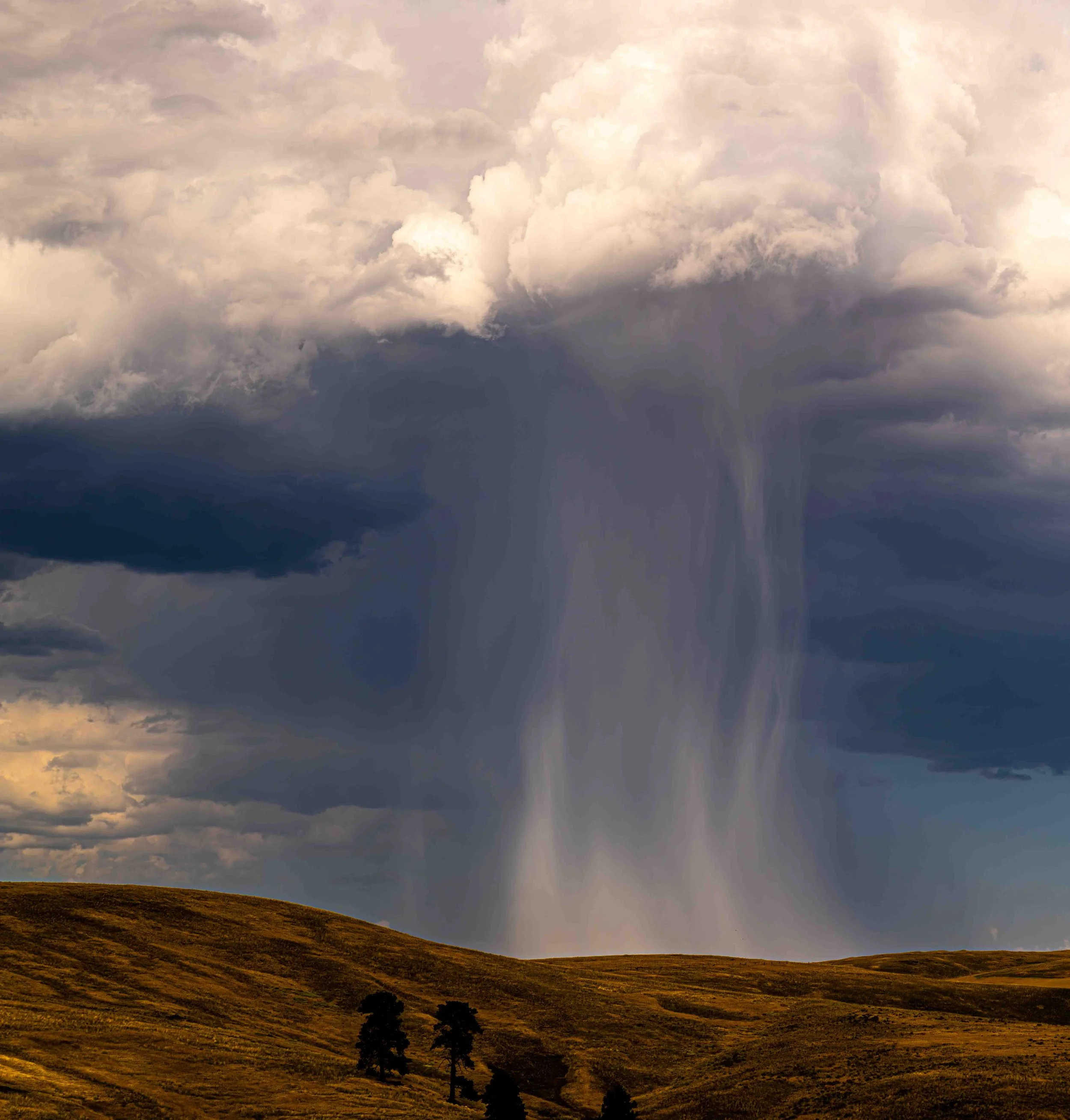 Downburst, Wallowa County 