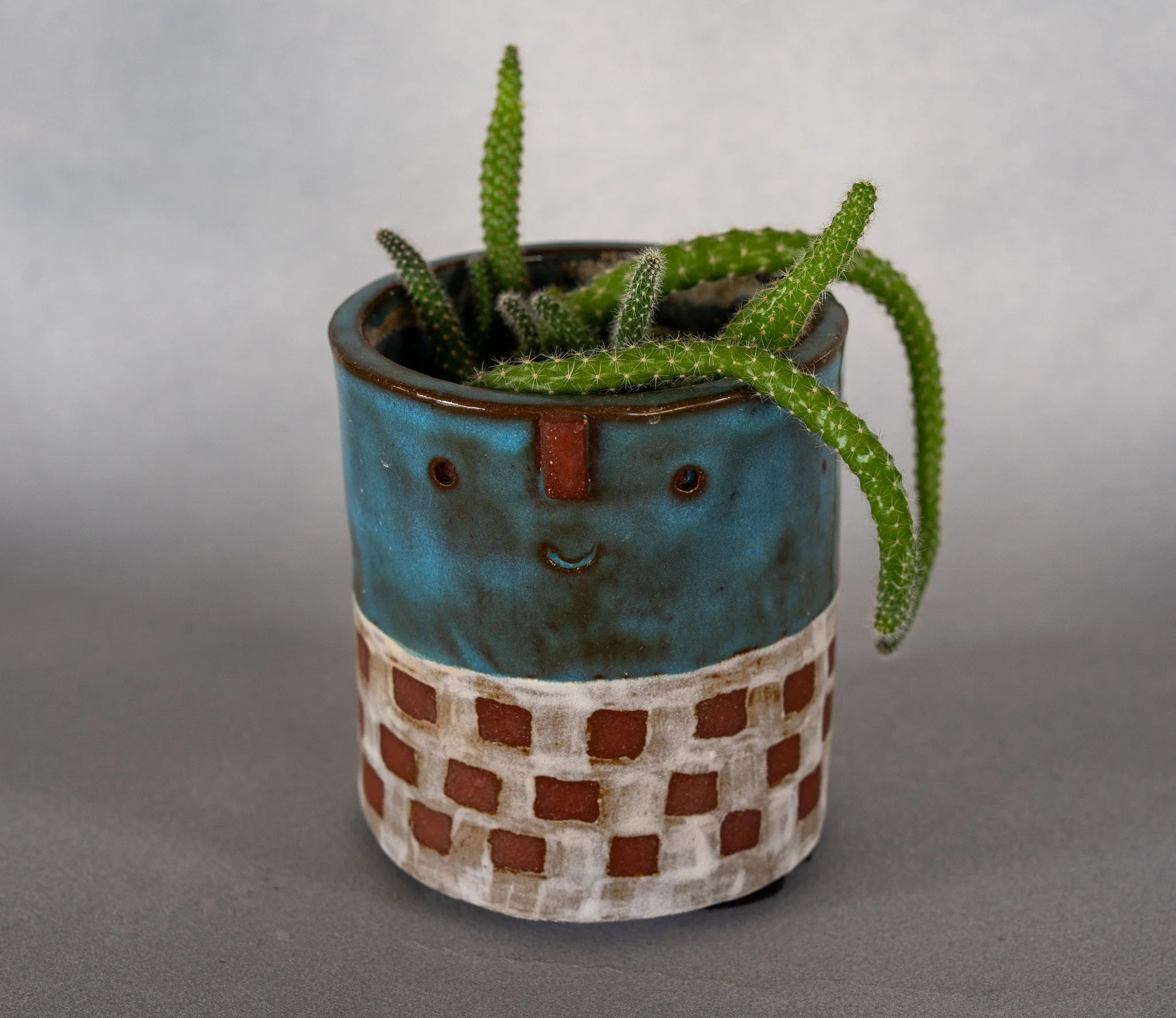 A ceramic planter with a smiling face design, filled with various small cactus plants, set against a plain gray background.