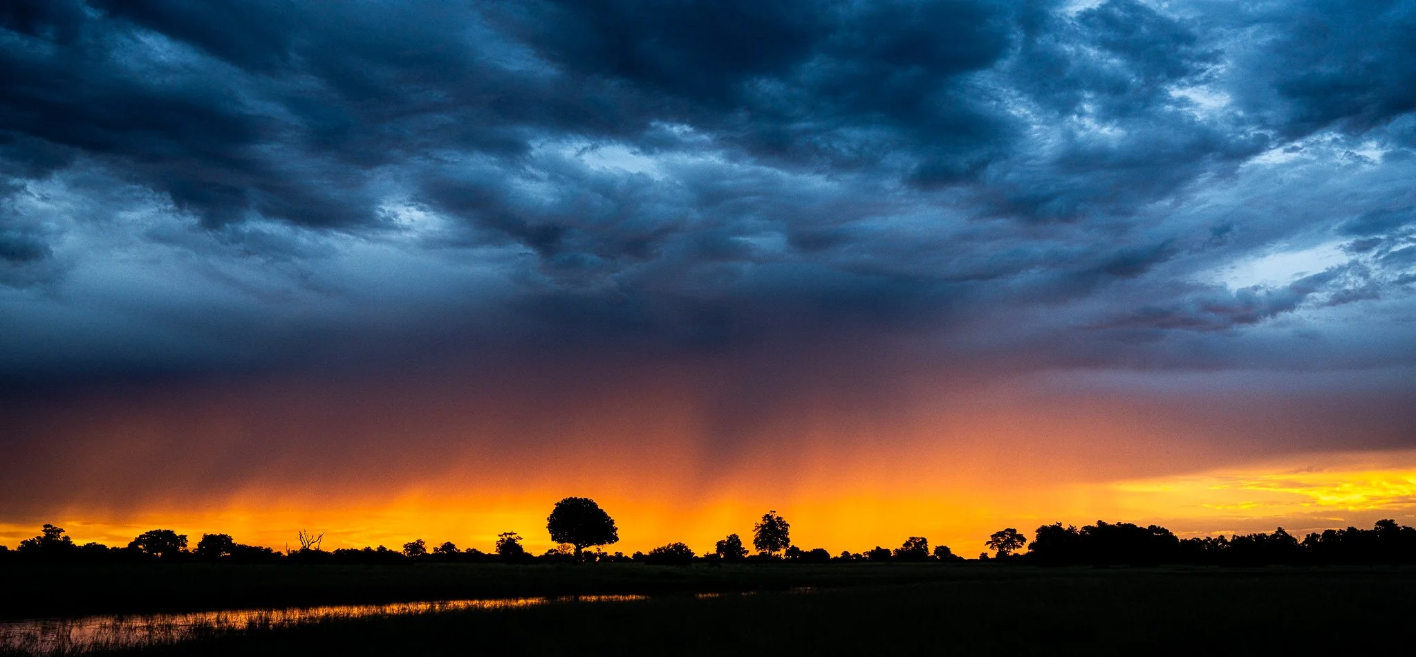 Okavango Sunset