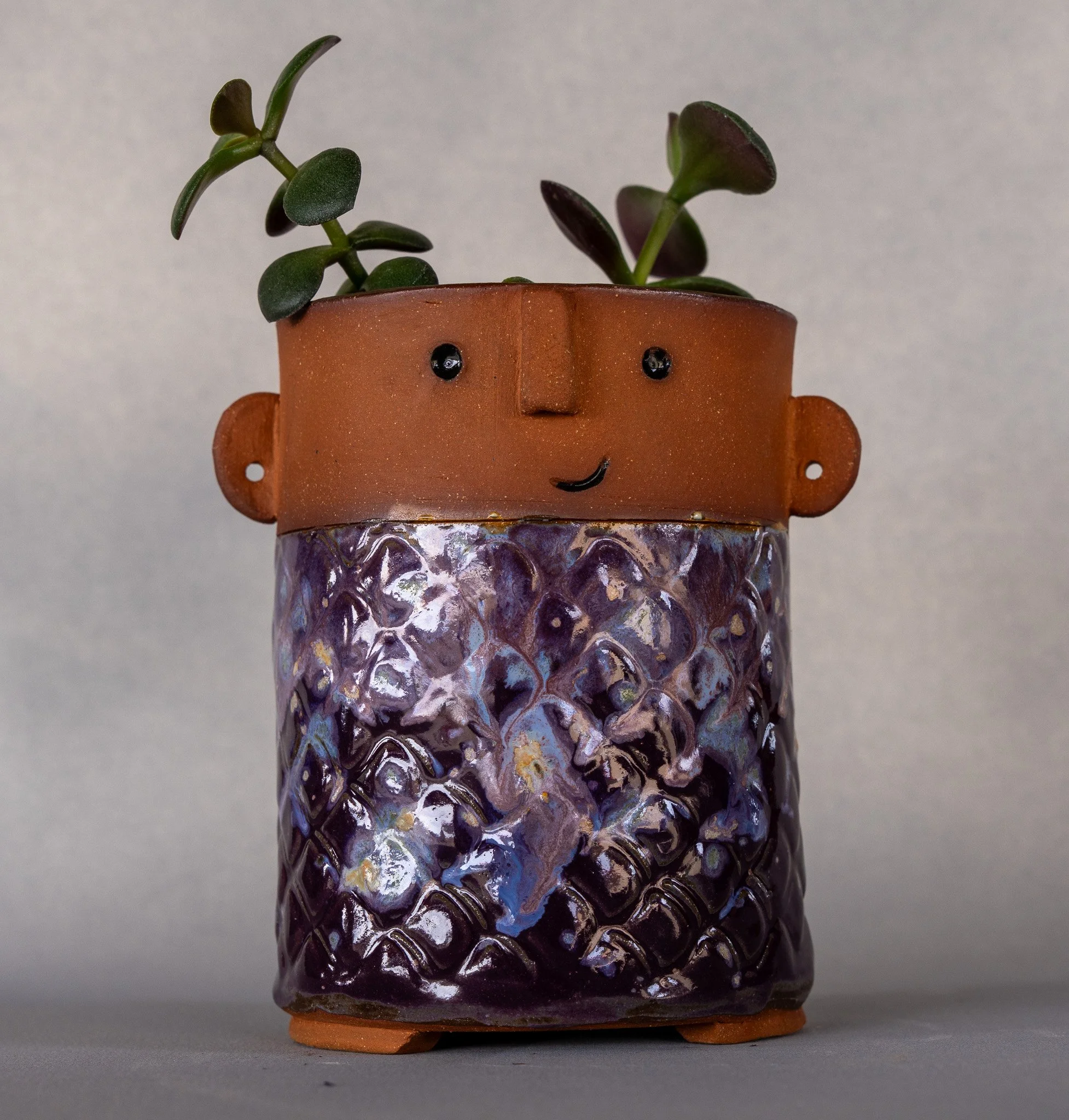 A decorative ceramic planter with a smiling face and ears, containing a succulent plant, against a plain background.