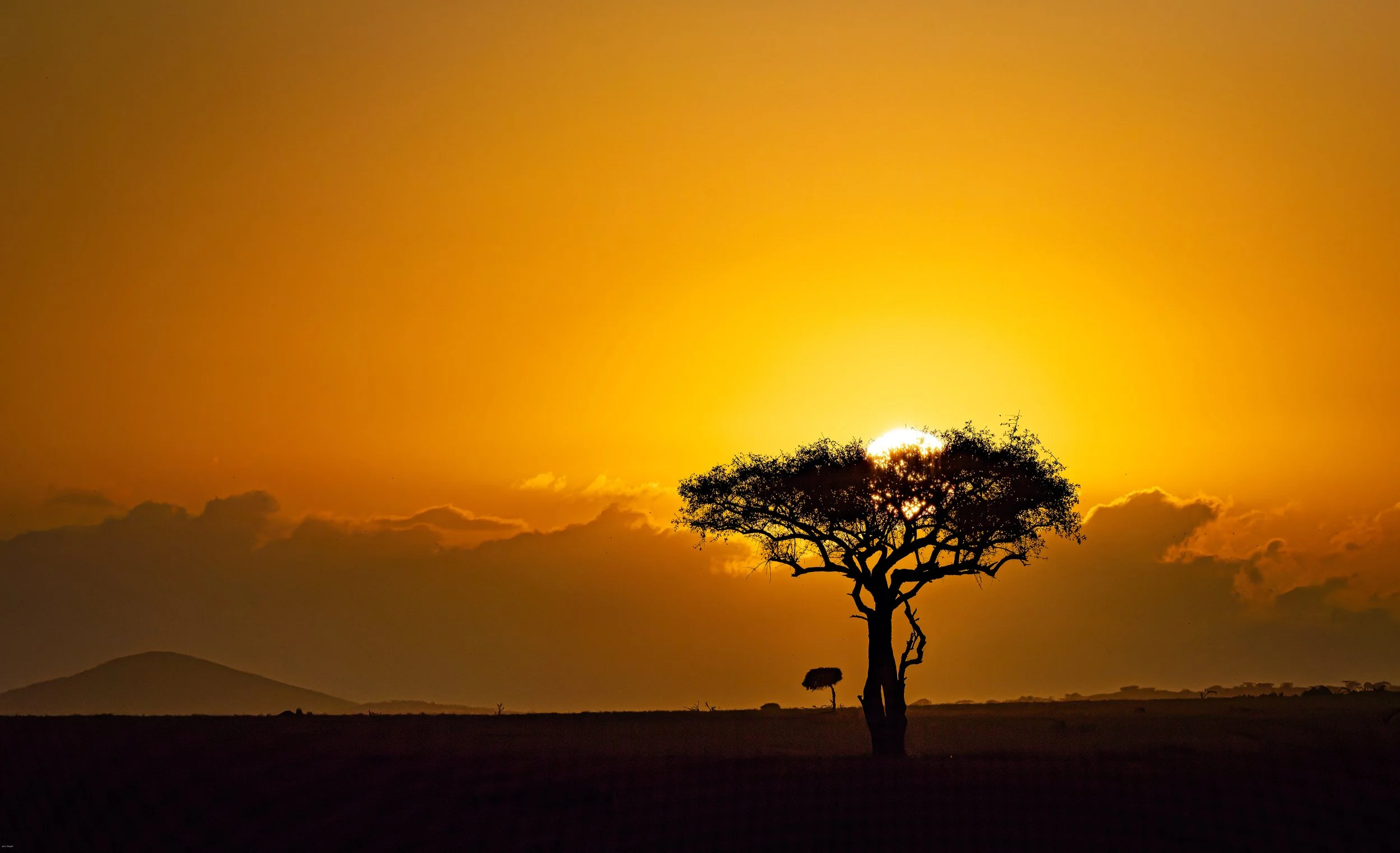Lewa Sunset, Kenya
