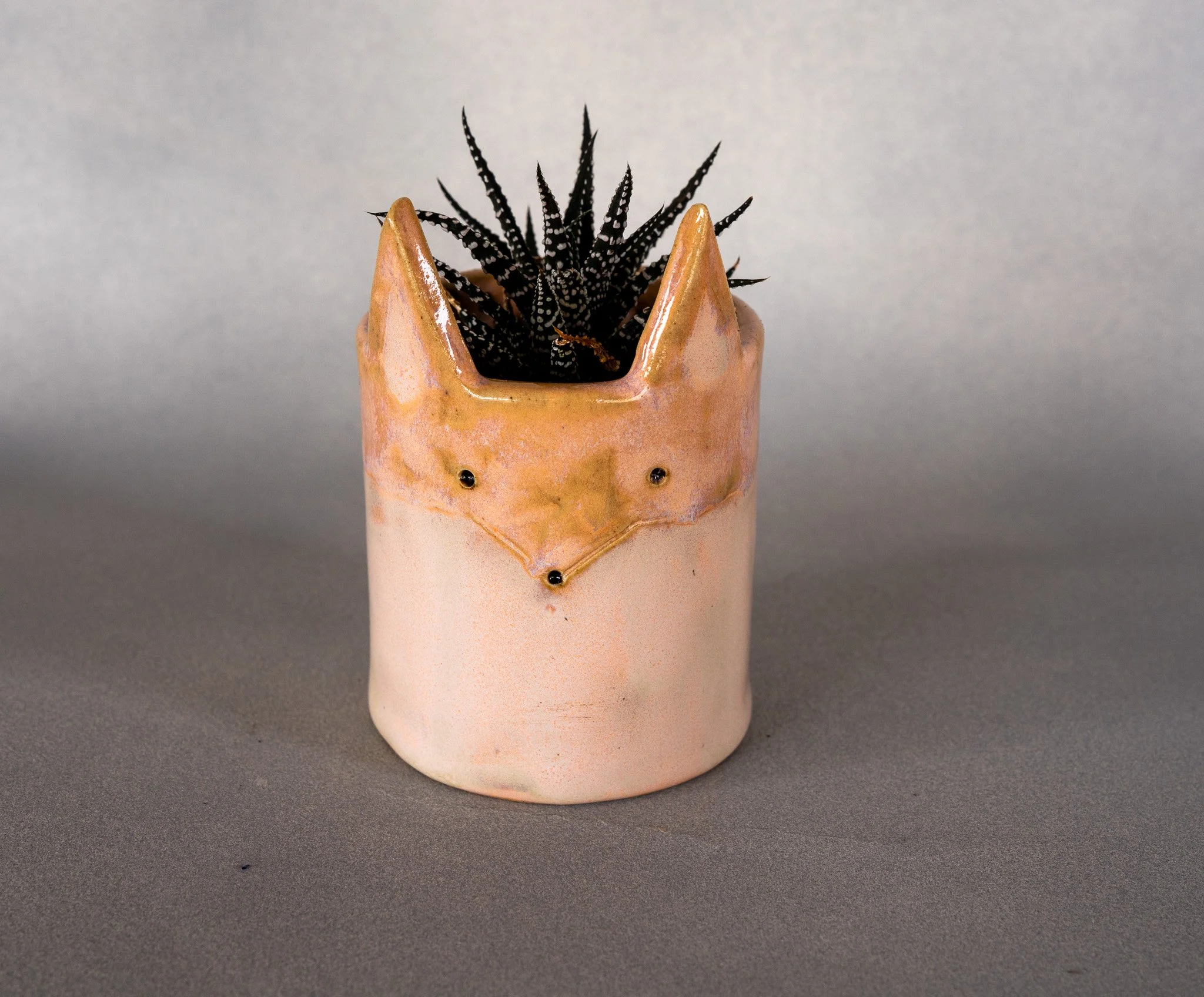 A ceramic pot shaped like a fox's head, with a succulent plant inside.
