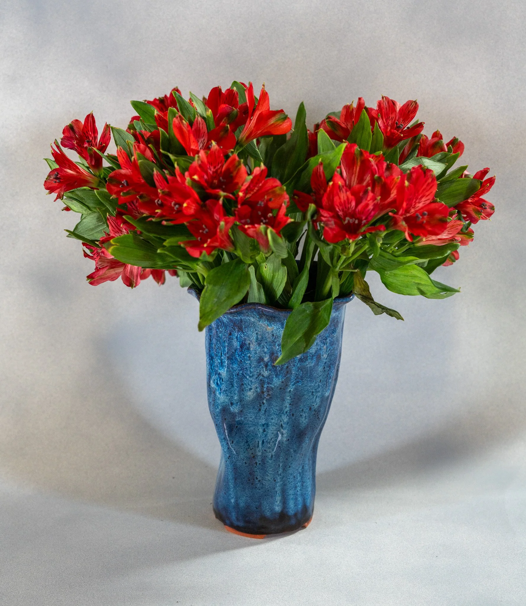Red flowers in a tall blue ceramic vase on a neutral background.