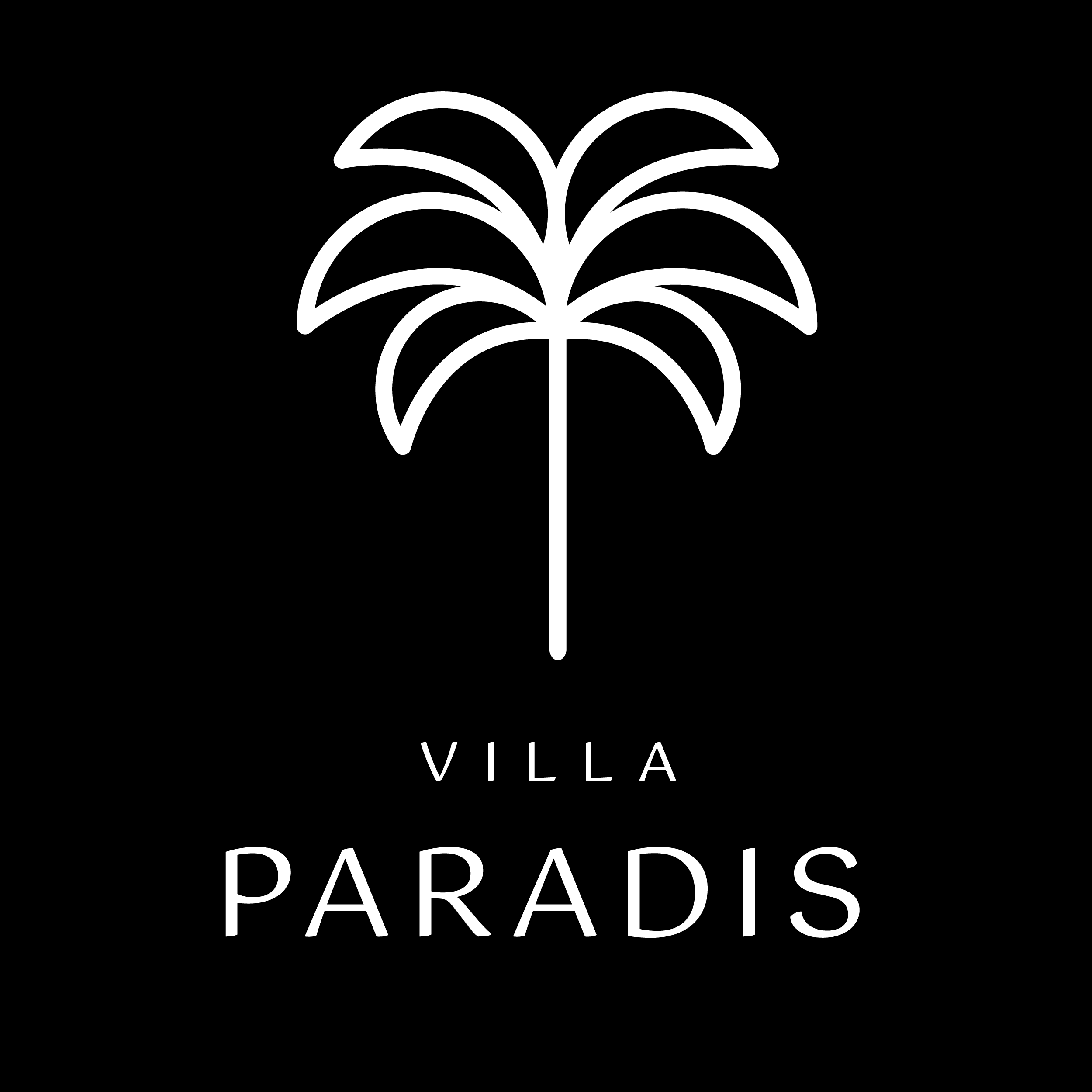 Brand Creation & Logo Design