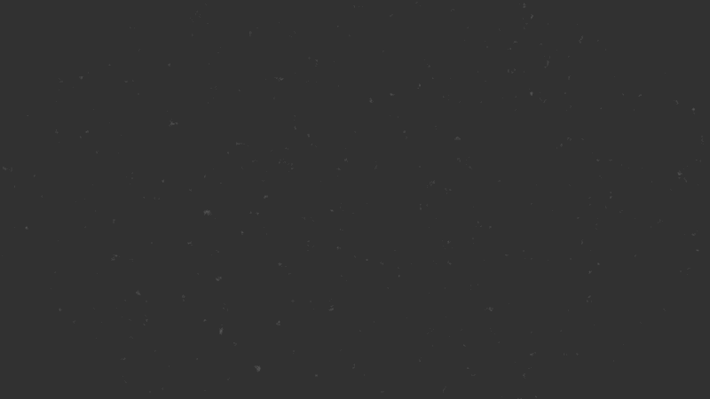 Logo Animation