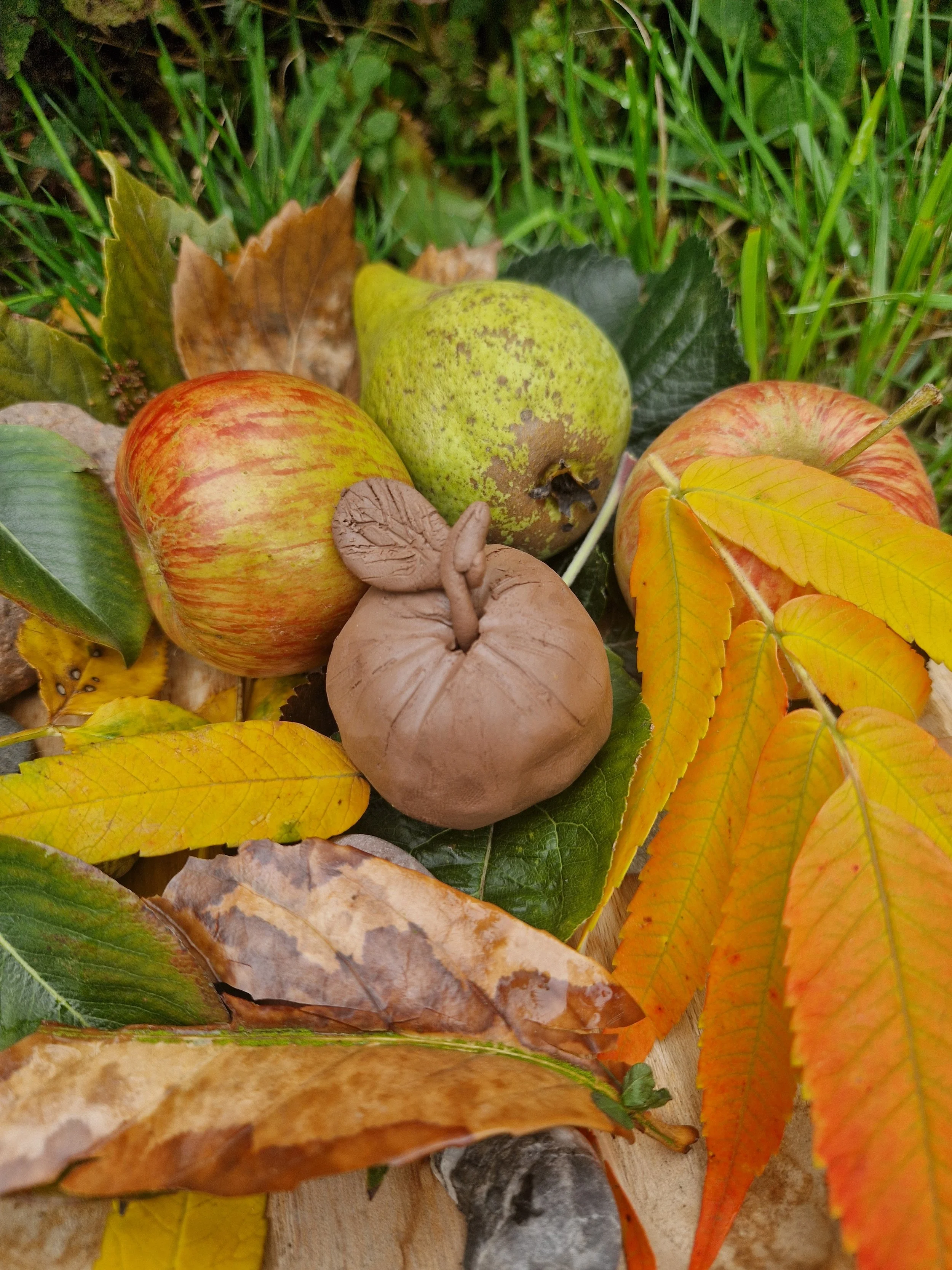 20250917_135411 (1).jpg