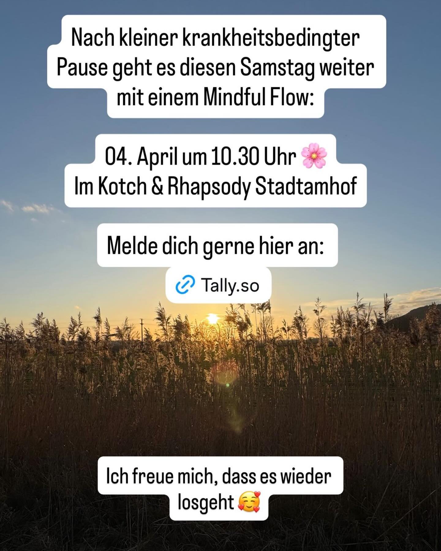 Yoga am Ostersamstag 🐣🌼

Ich freue mich auf euch! 

#yogainregensburg #regensburg #yogastunde
