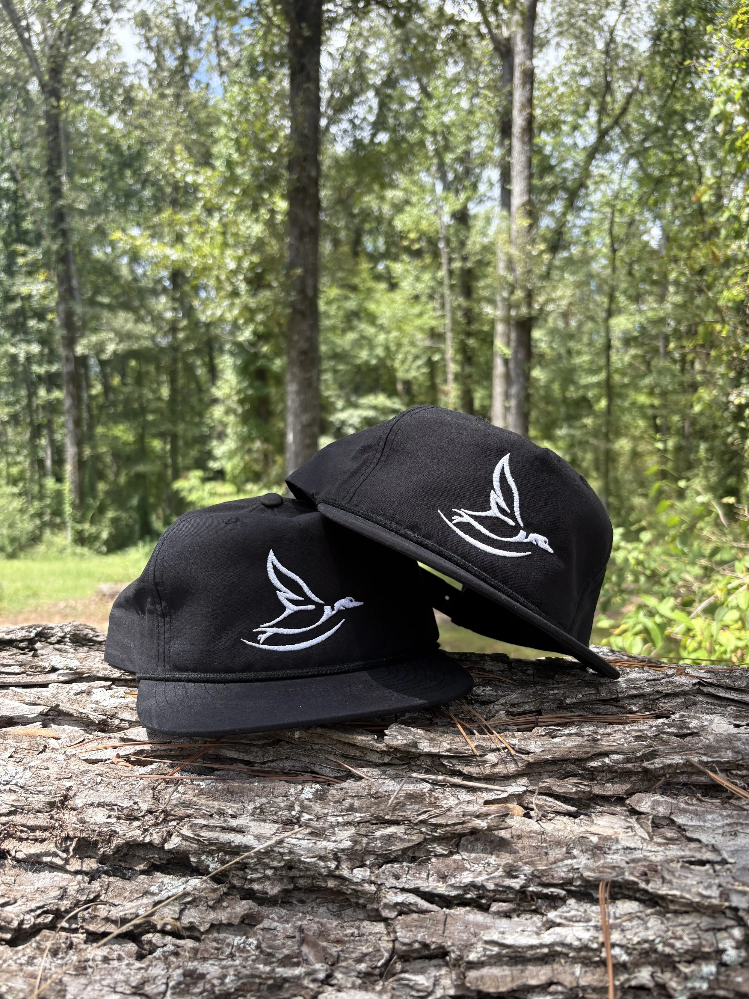 IMG_1223.jpeg