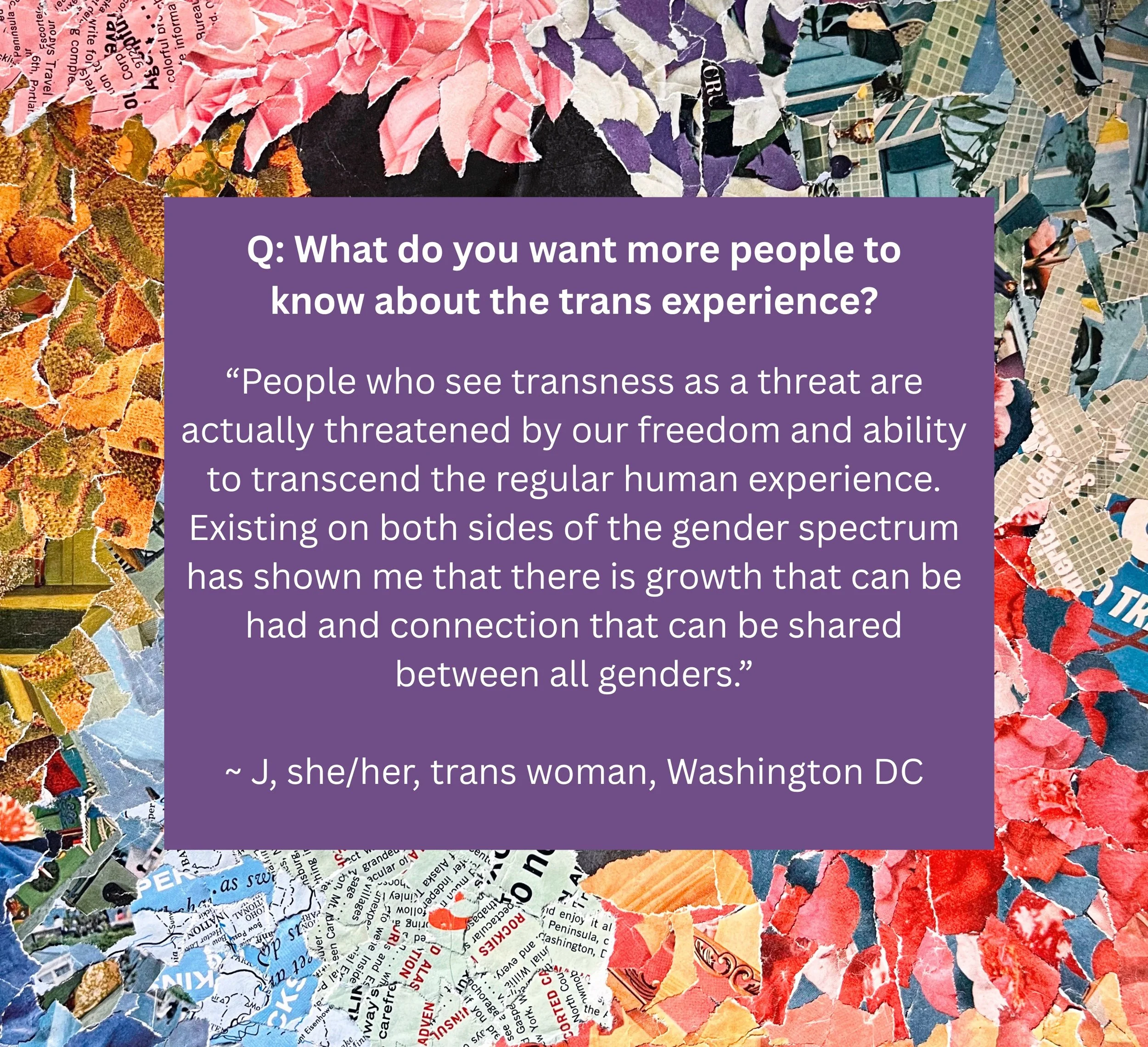 Q4 Know about trans experience  (1).jpg