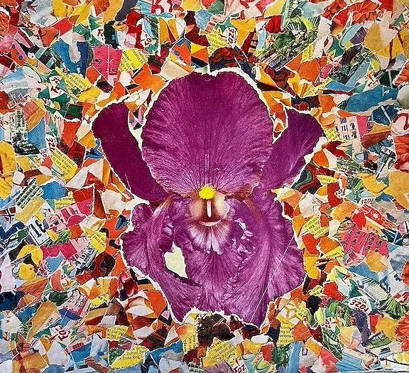 12x12 paper collage on paper titled "Iris 1"
