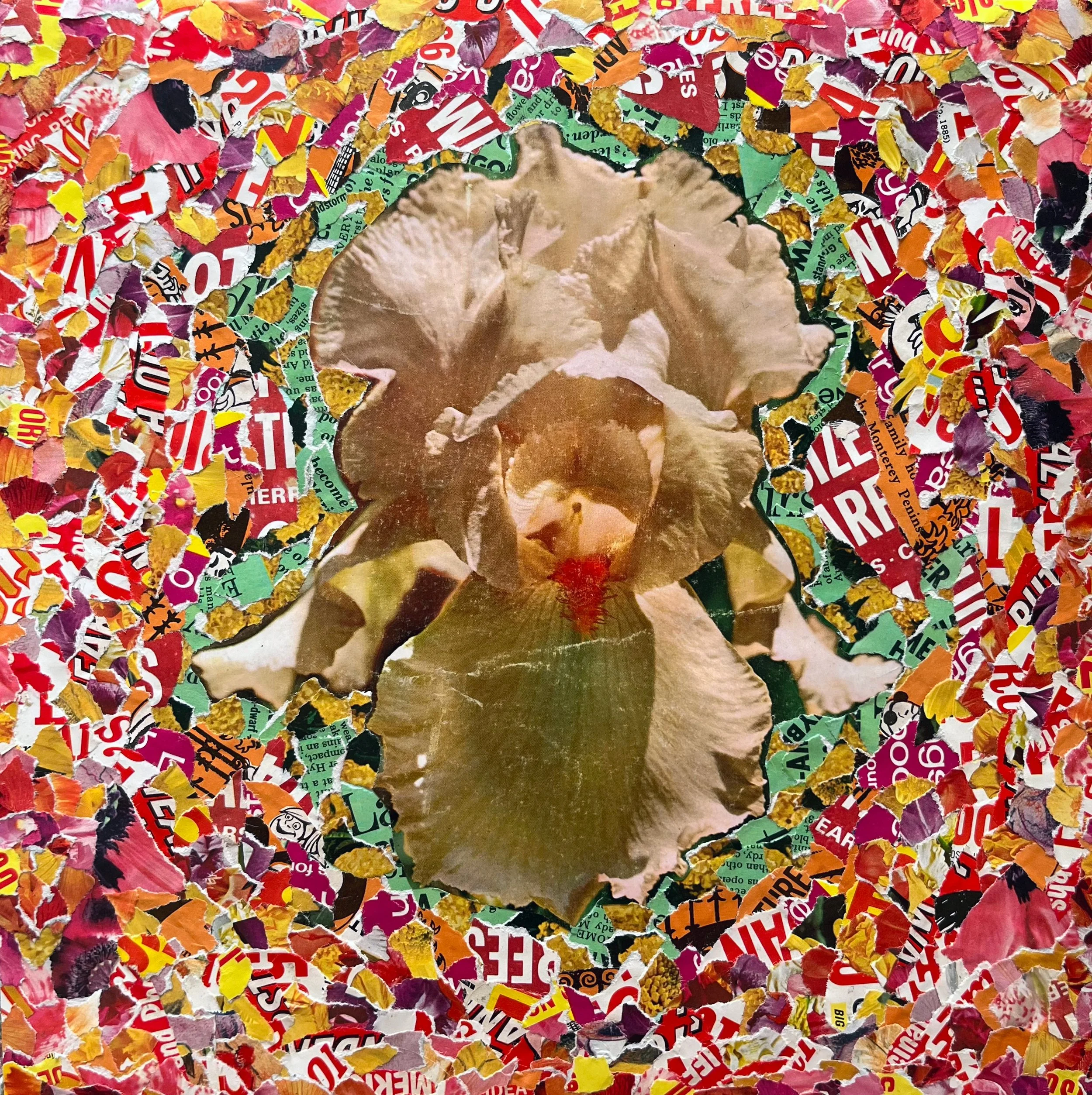 12x12 paper collage on paper titled "Iris 2"