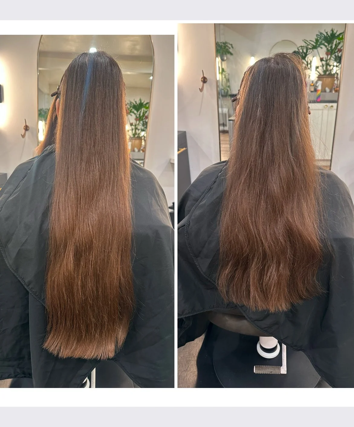 Brenna hair portfolio Before and After.jpeg