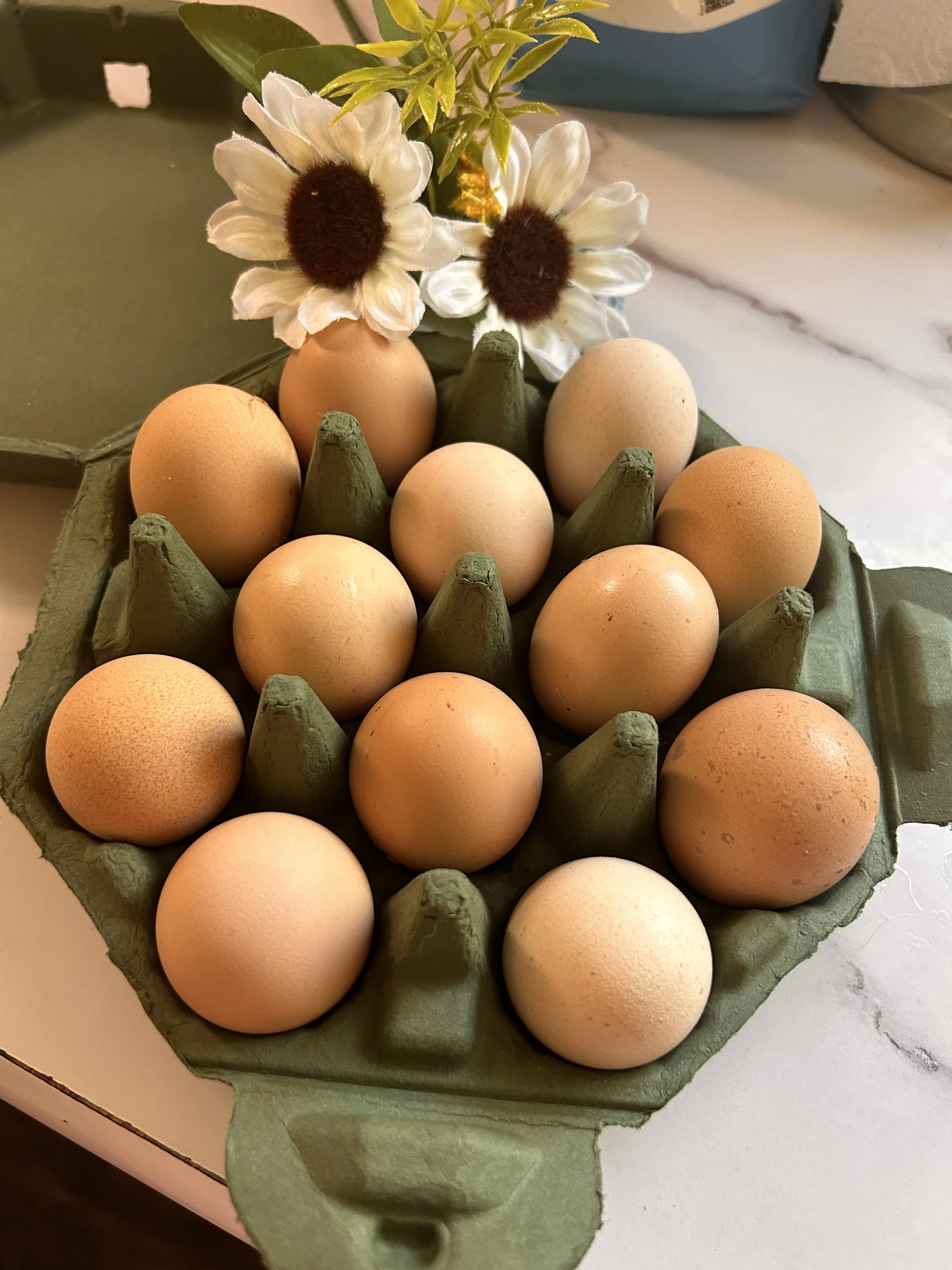 6 Farm Fresh Organic Eggs