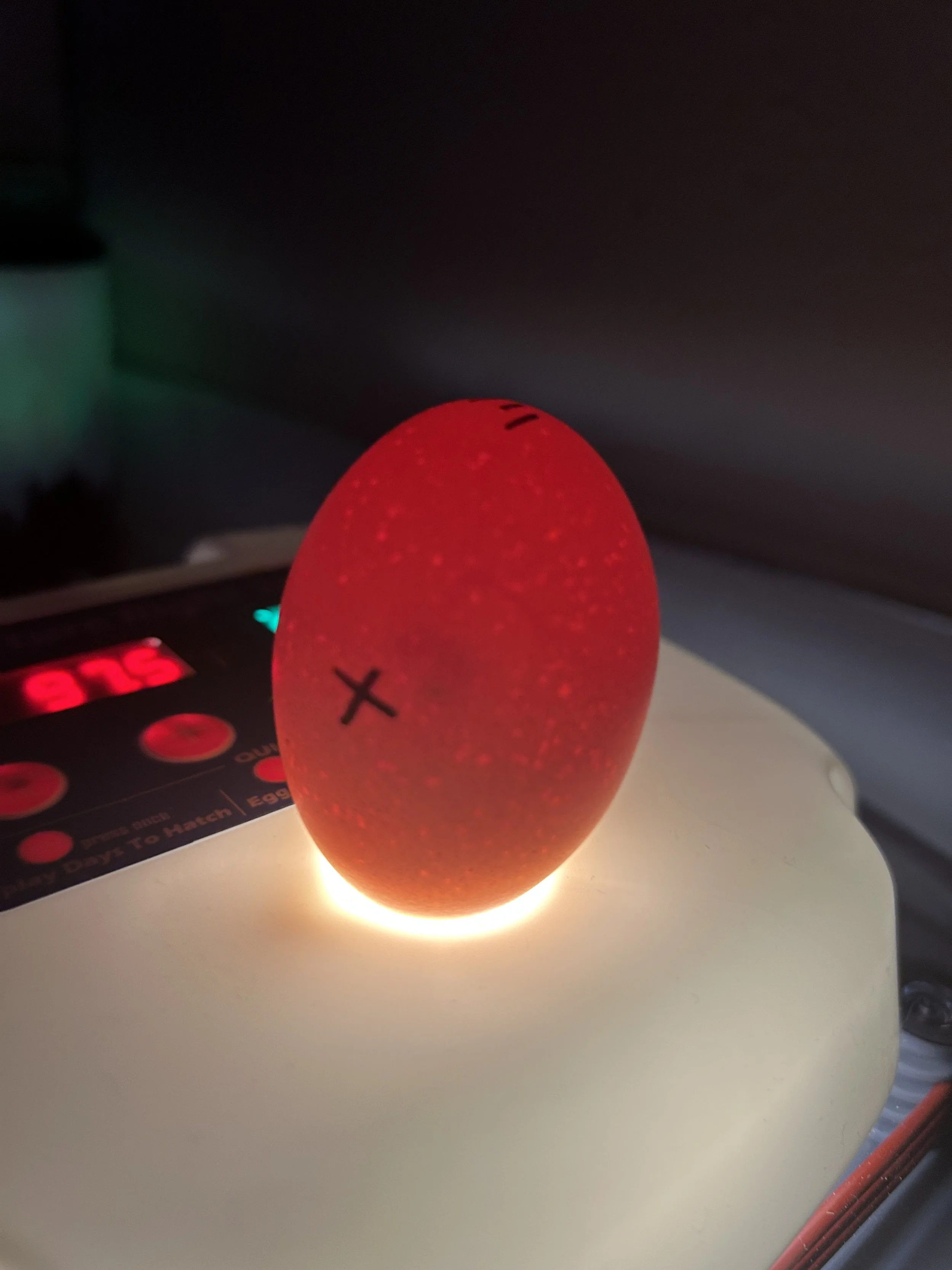 6 Barnyard Mix Hatching Eggs