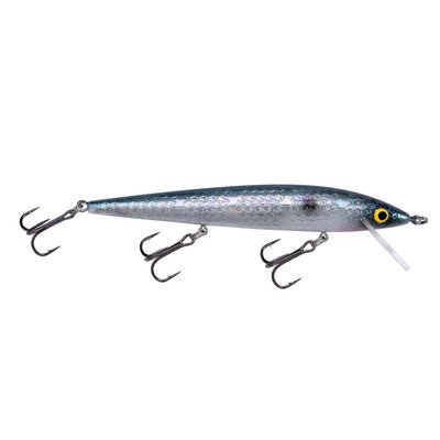 Smithwick Suspending Rattlin Rogue FX Oil Blue