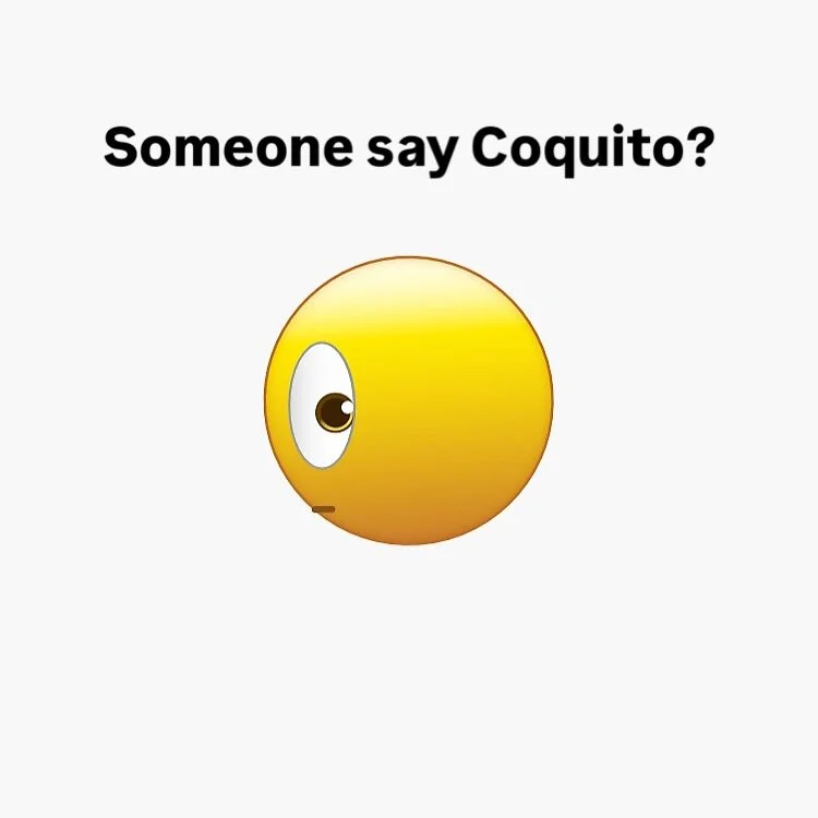 someone say coquito? 😁

#coquitoseason #orlandolocalbusiness #coquitotime